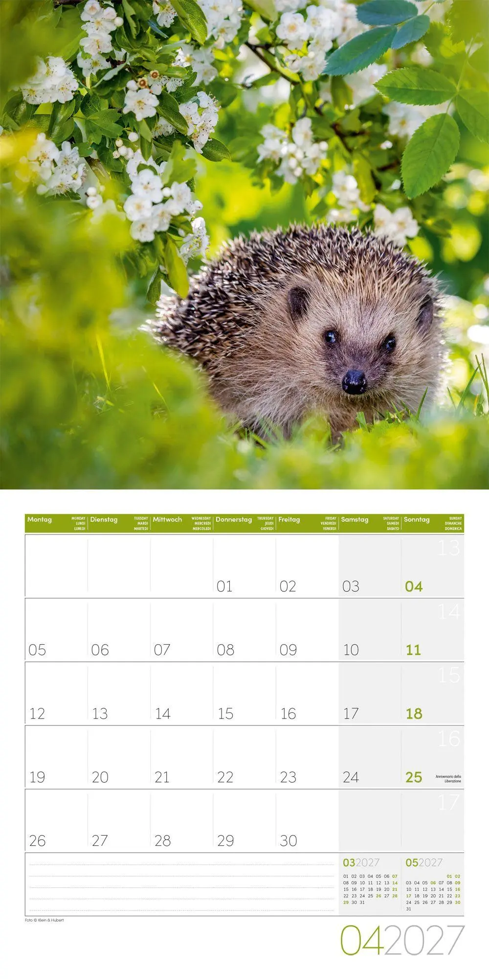 Bild: 9783838447087 | Igel Kalender 2027 - 30x30 - Art12 | Ackermann Kunstverlag GmbH | 2027