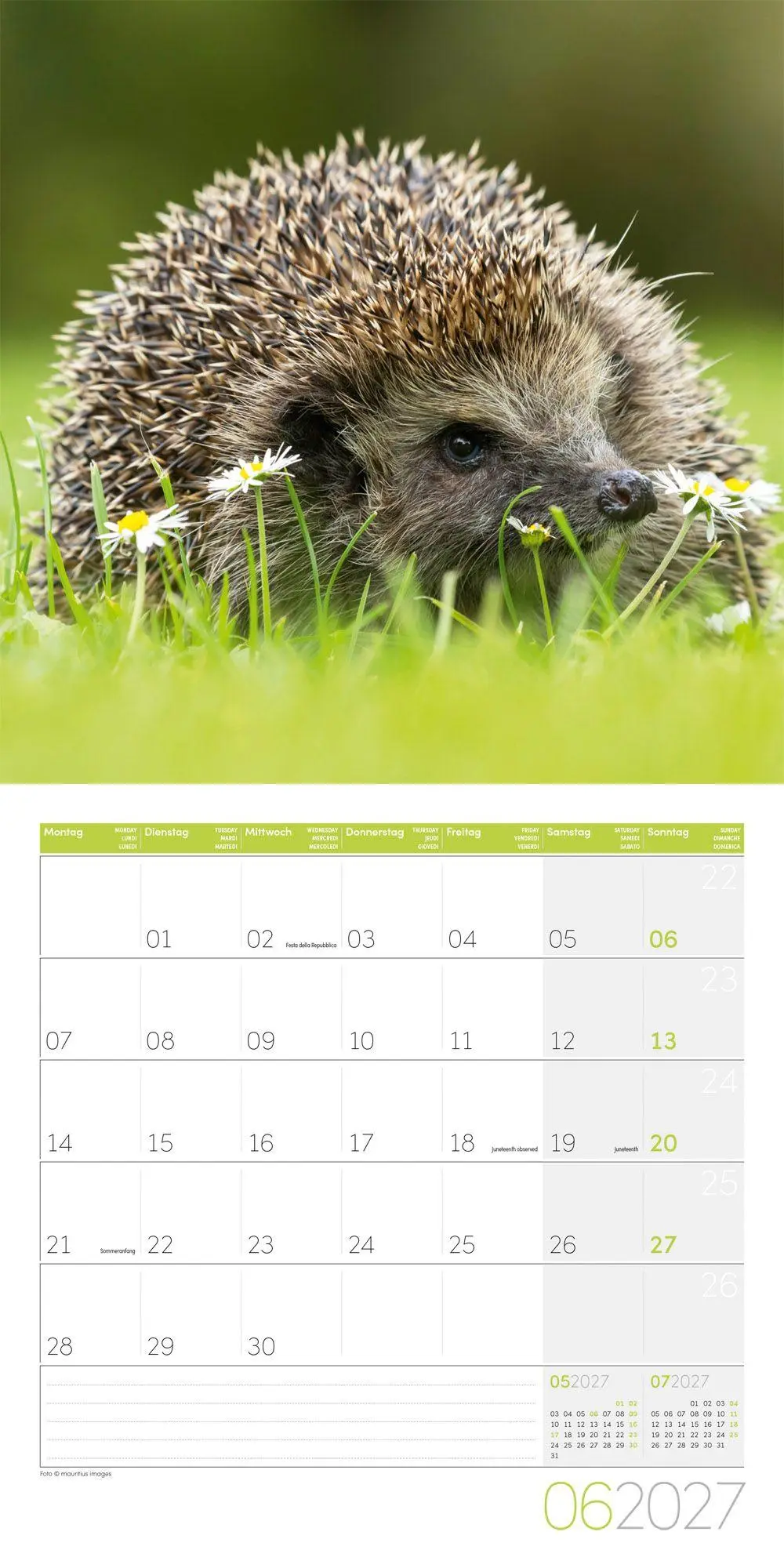 Bild: 9783838447087 | Igel Kalender 2027 - 30x30 - Art12 | Ackermann Kunstverlag GmbH | 2027