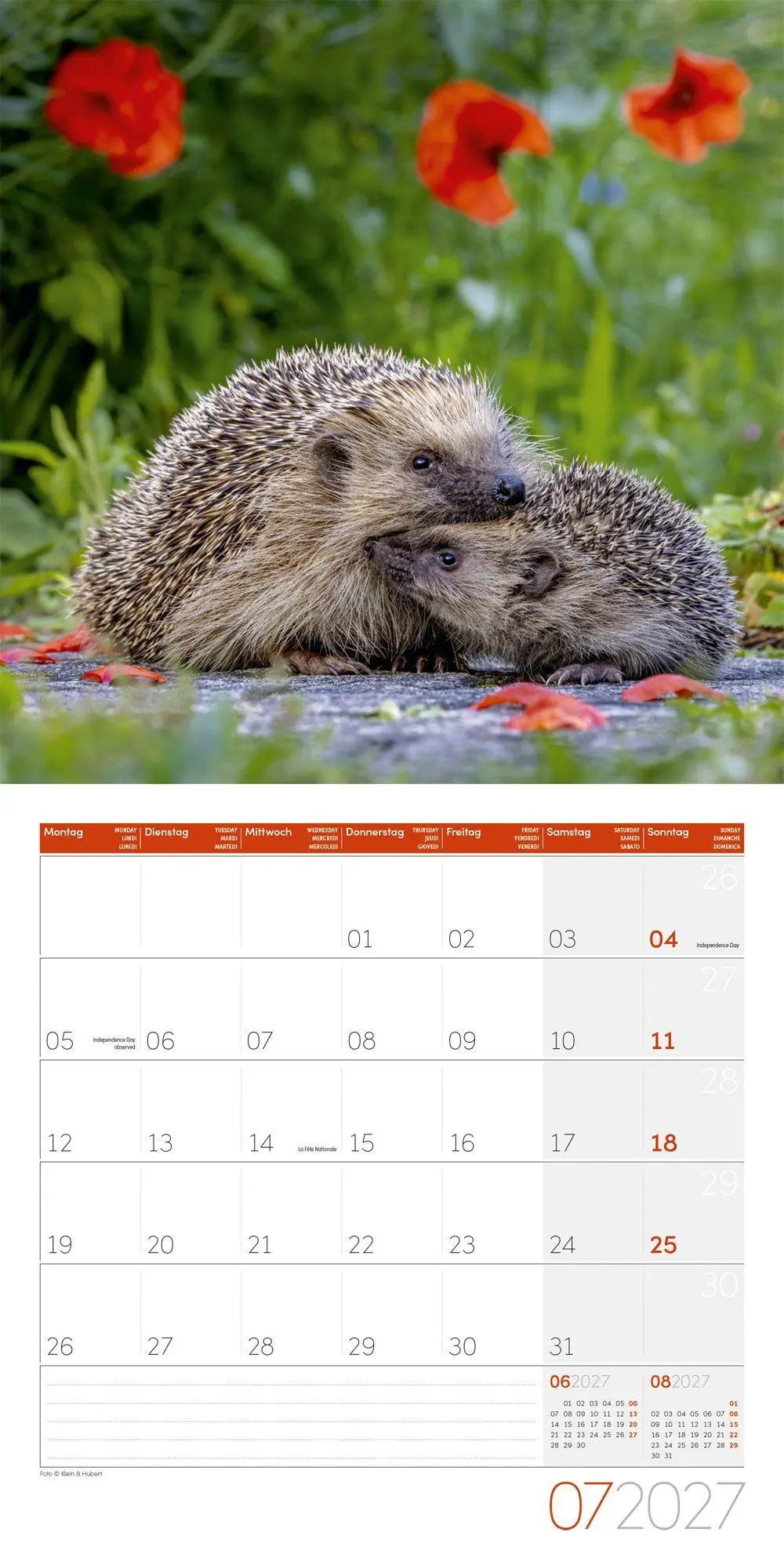 Bild: 9783838447087 | Igel Kalender 2027 - 30x30 - Art12 | Ackermann Kunstverlag GmbH | 2027