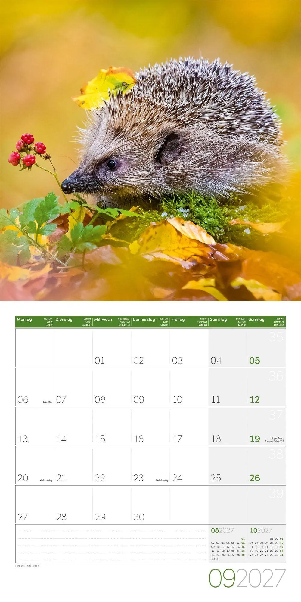 Bild: 9783838447087 | Igel Kalender 2027 - 30x30 - Art12 | Ackermann Kunstverlag GmbH | 2027