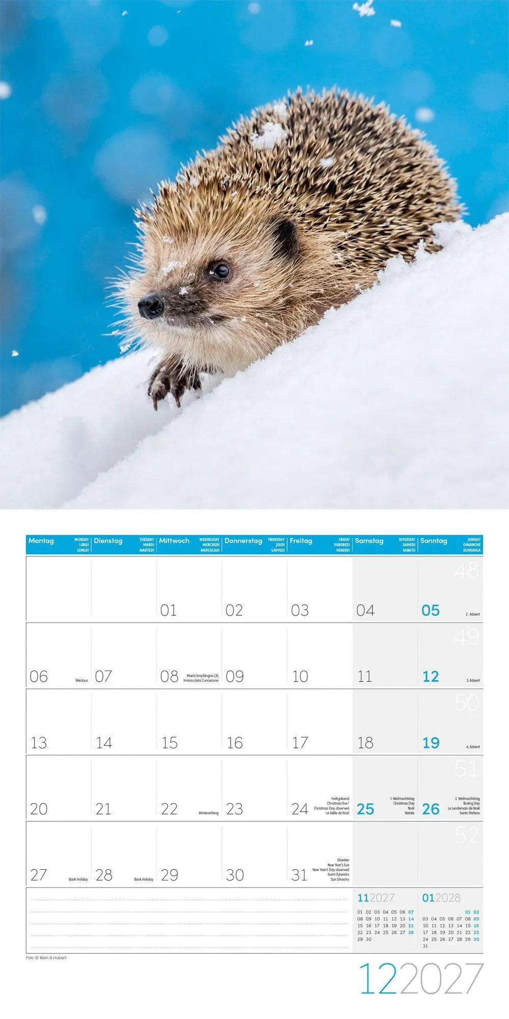 Bild: 9783838447087 | Igel Kalender 2027 - 30x30 - Art12 | Ackermann Kunstverlag GmbH | 2027