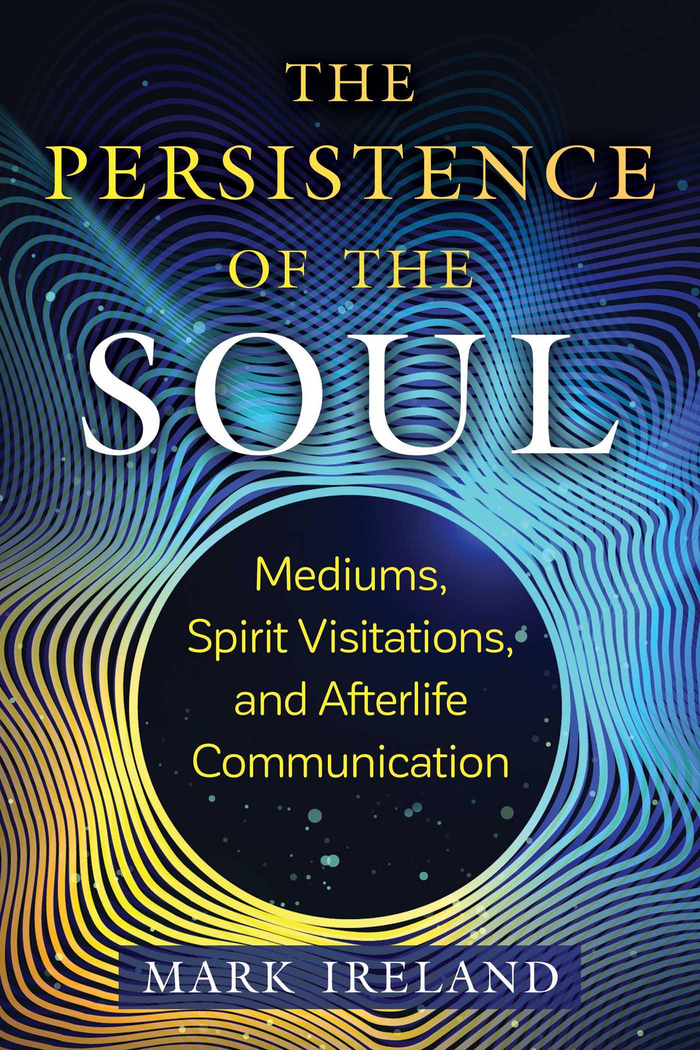 Cover: 9781644117187 | The Persistence of the Soul | Mark Ireland | Taschenbuch | Englisch