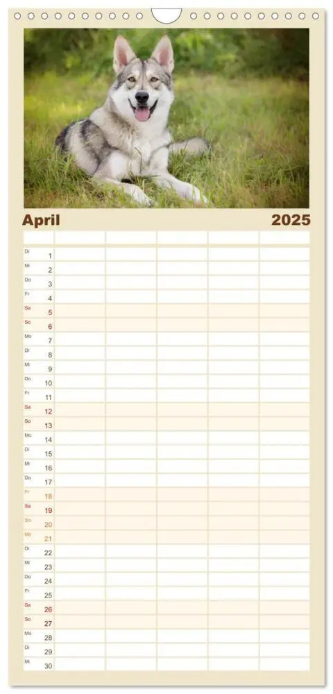 Bild: 9783457117187 | Familienplaner 2025 - Wolfshunde 2025 mit 5 Spalten (Wandkalender,...