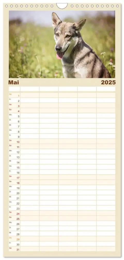Bild: 9783457117187 | Familienplaner 2025 - Wolfshunde 2025 mit 5 Spalten (Wandkalender,...