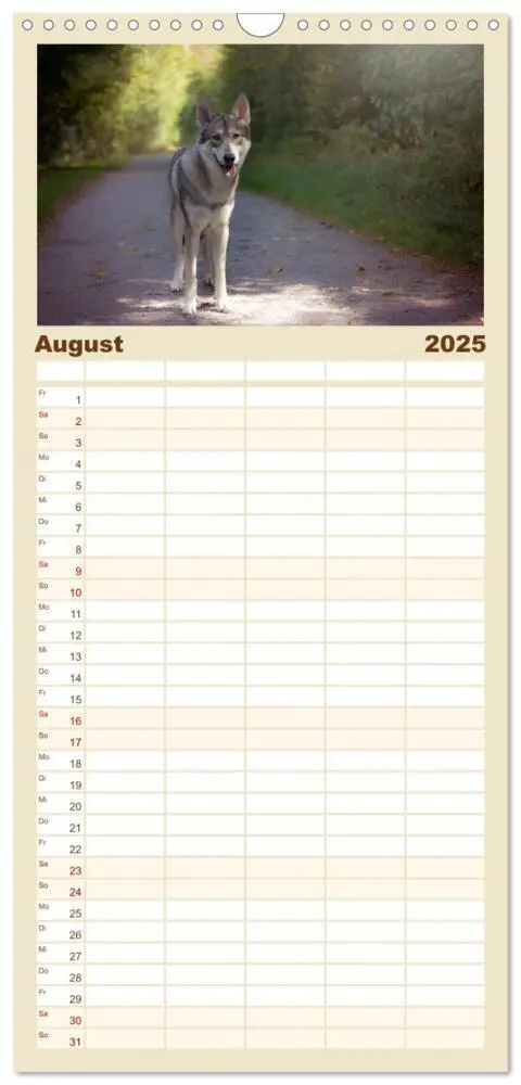 Bild: 9783457117187 | Familienplaner 2025 - Wolfshunde 2025 mit 5 Spalten (Wandkalender,...