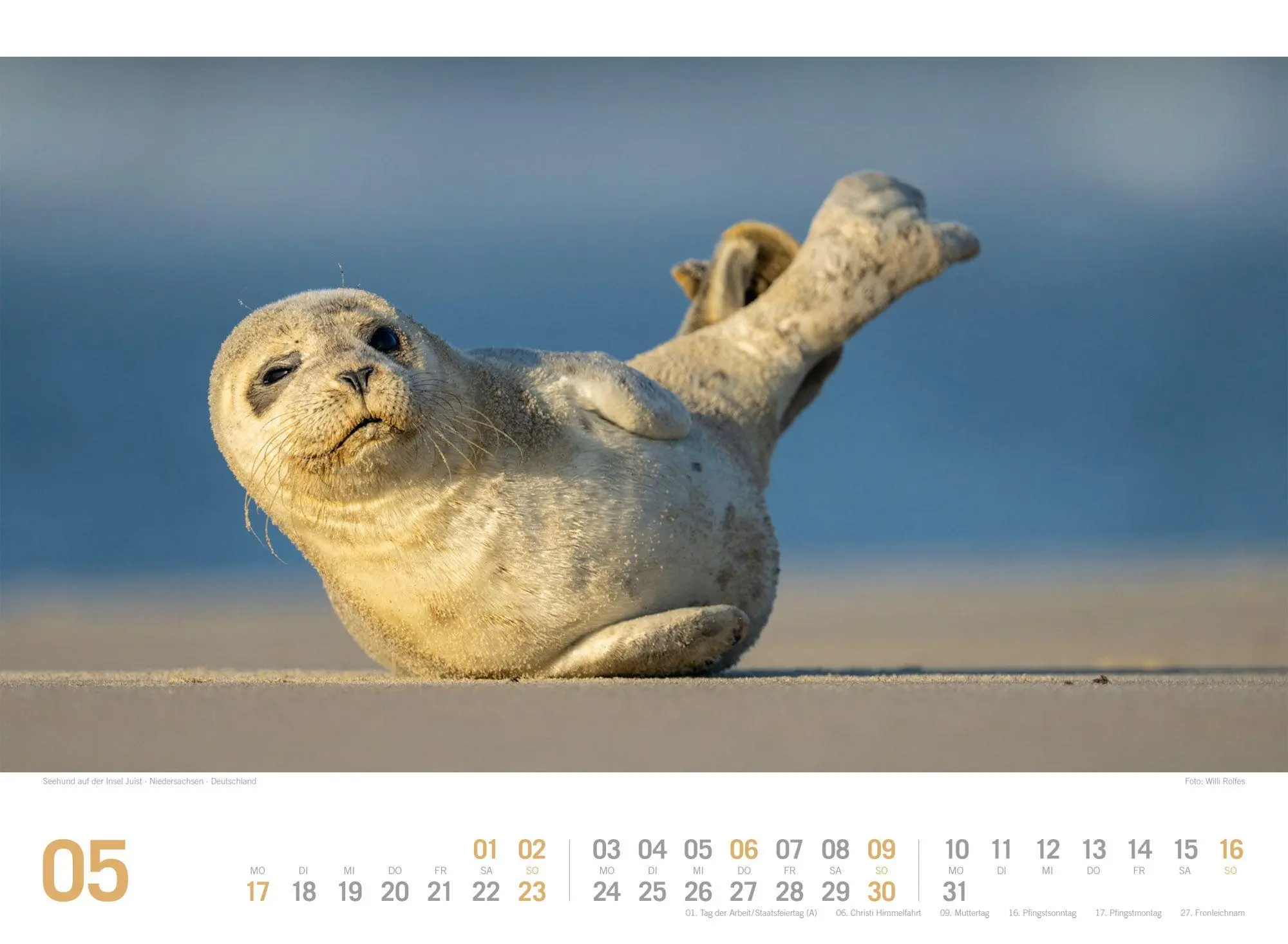 Bild: 9783838437187 | Nordsee ReiseLust Kalender 2027 von Ostfriesland bis nach Sylt | GmbH