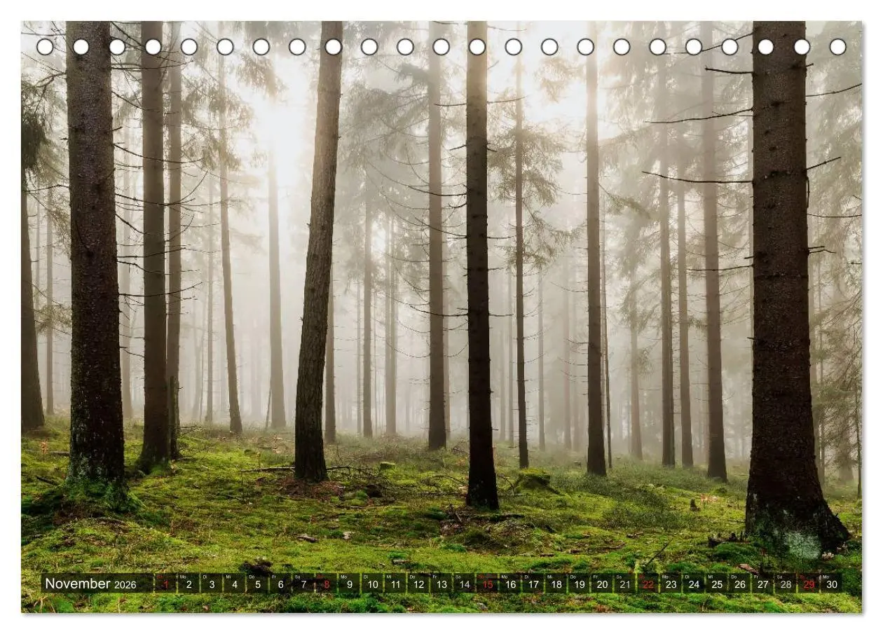 Bild: 9783457967287 | Zauberhaftes Fichtelgebirge (Tischkalender 2026 DIN A5 quer),...