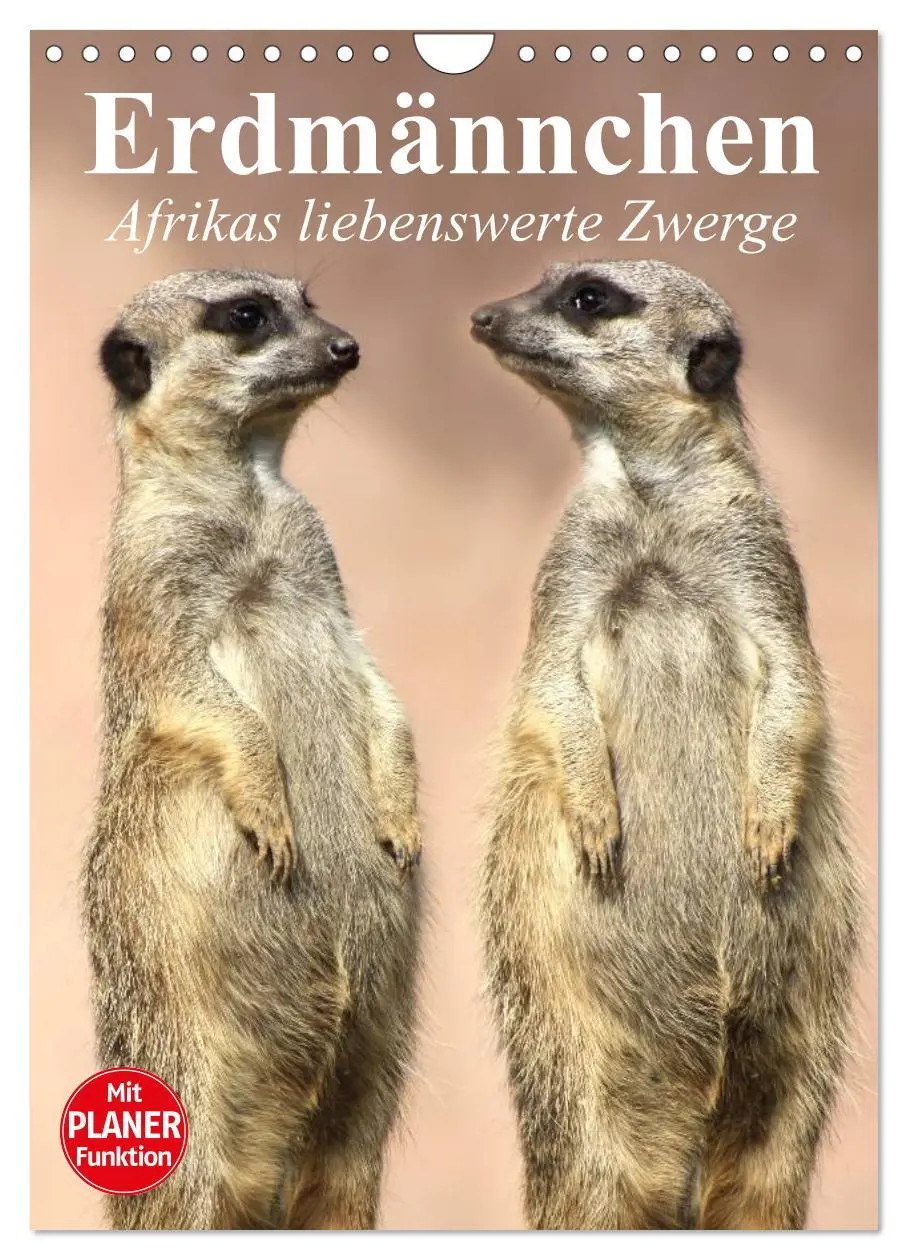 Cover: 9783516437287 | Erdmännchen - Afrikas liebenswerte Zwerge (Wandkalender 2026 DIN A4...