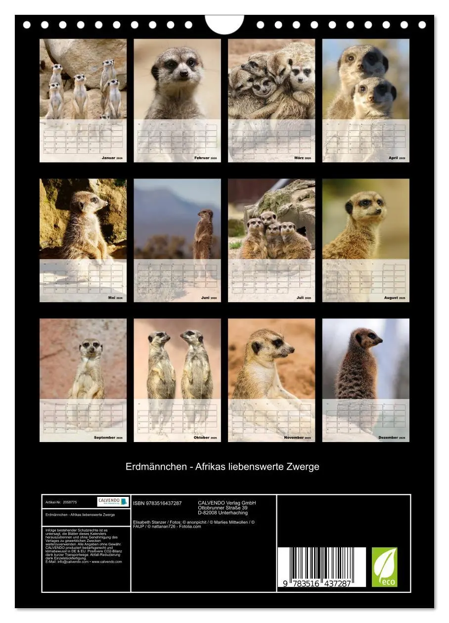 Bild: 9783516437287 | Erdmännchen - Afrikas liebenswerte Zwerge (Wandkalender 2026 DIN A4...