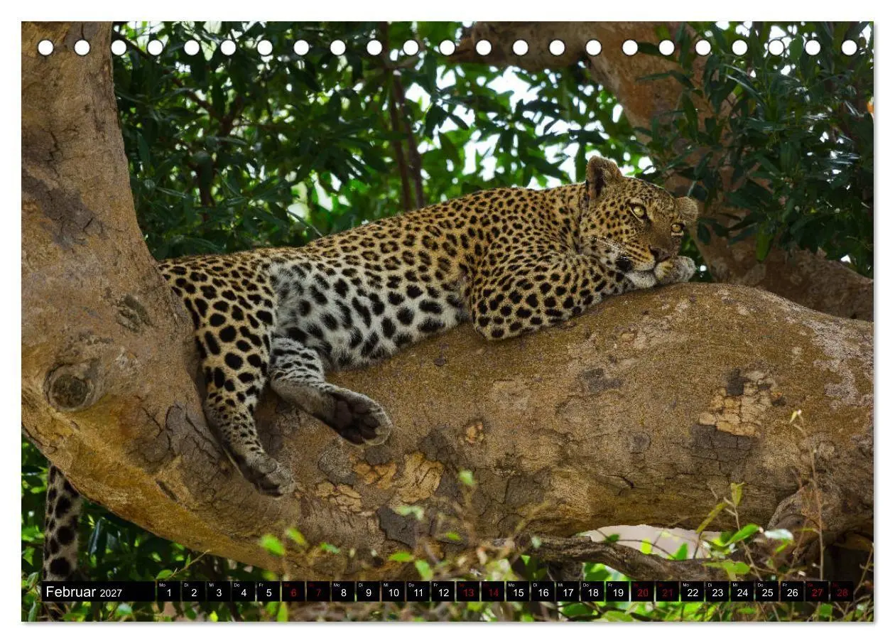 Bild: 9783569767287 | Tansania - Tierwanderung in der Serengeti (Tischkalender 2027 DIN...