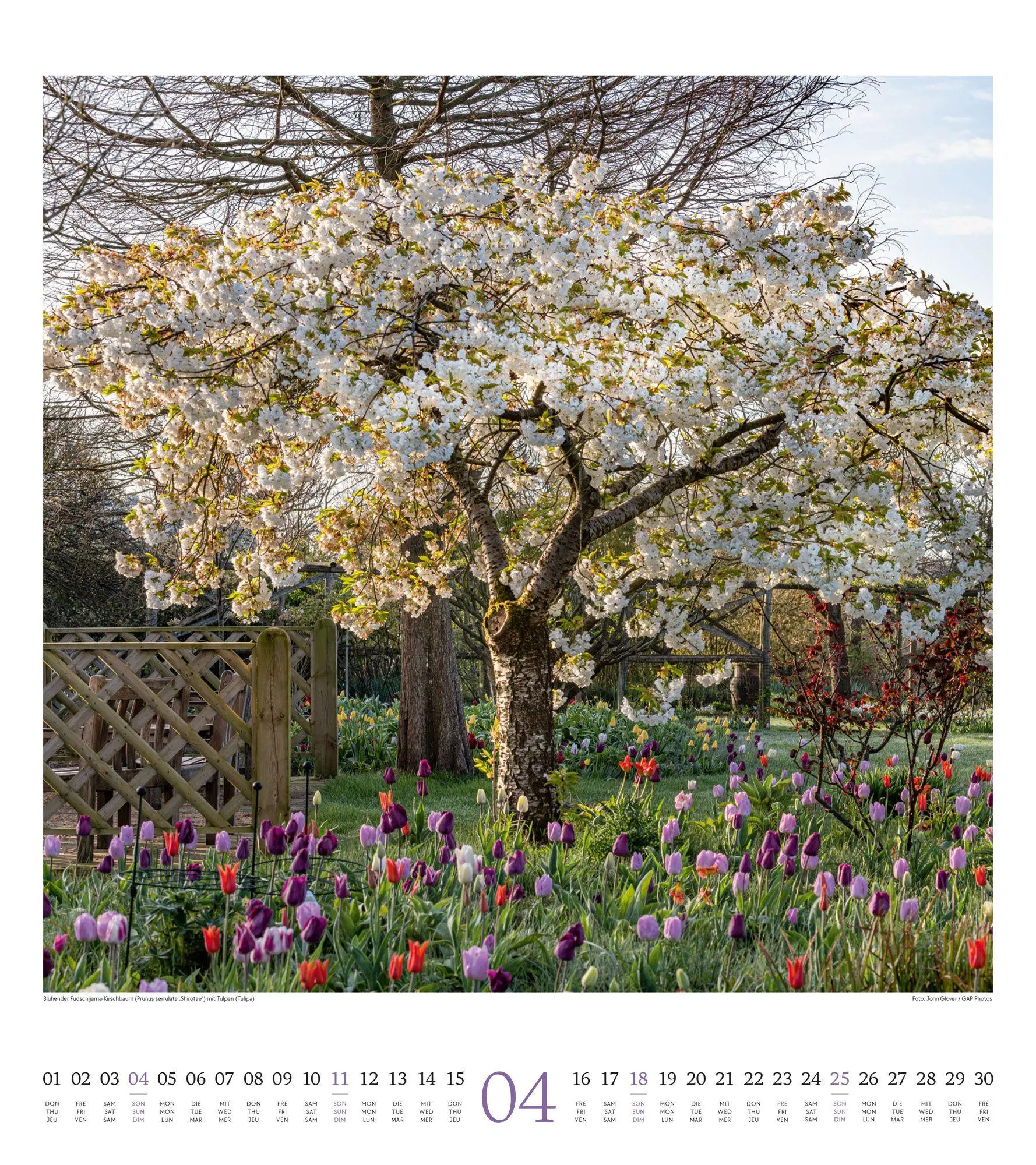 Bild: 9783838427287 | Paradiesische Gärten Kalender 2027 | Ackermann Kunstverlag GmbH | 2027
