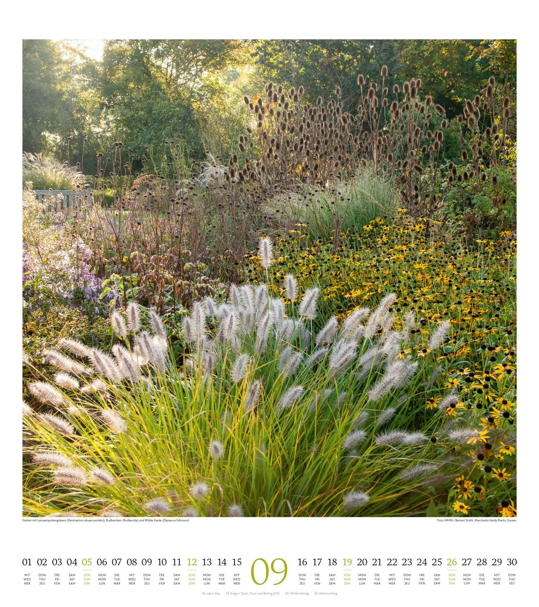 Bild: 9783838427287 | Paradiesische Gärten Kalender 2027 | Ackermann Kunstverlag GmbH | 2027