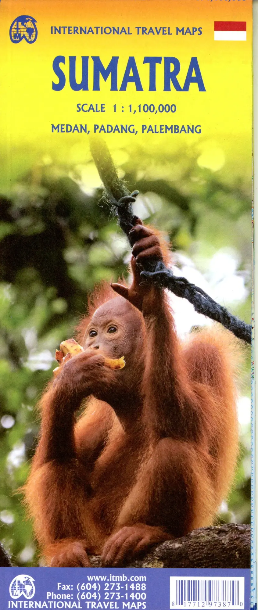 Cover: 9781771297387 | Sumatra | 1:1100000 | (Land-)Karte | International Travel Map | 2025