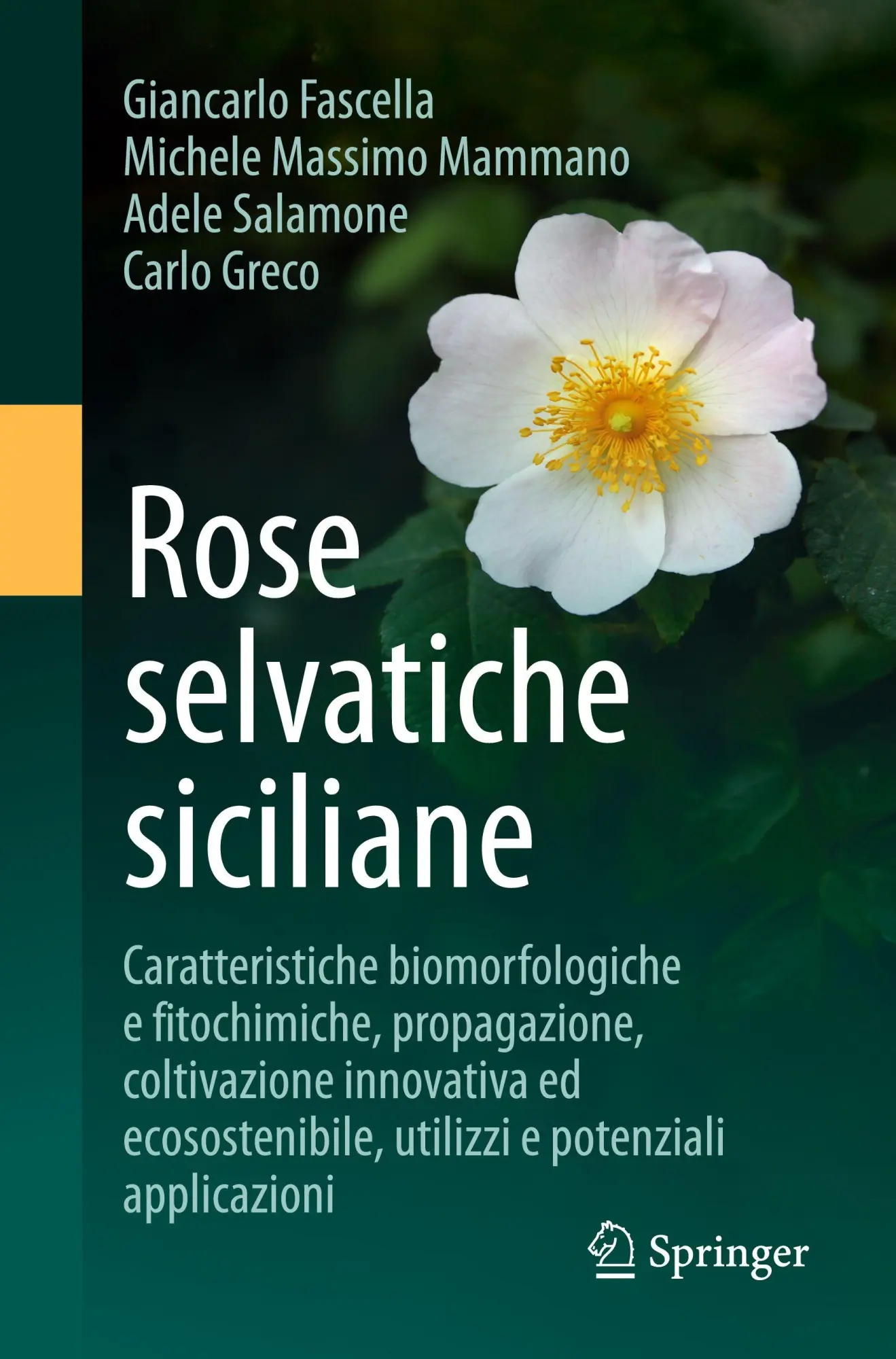 Rose selvatiche siciliane