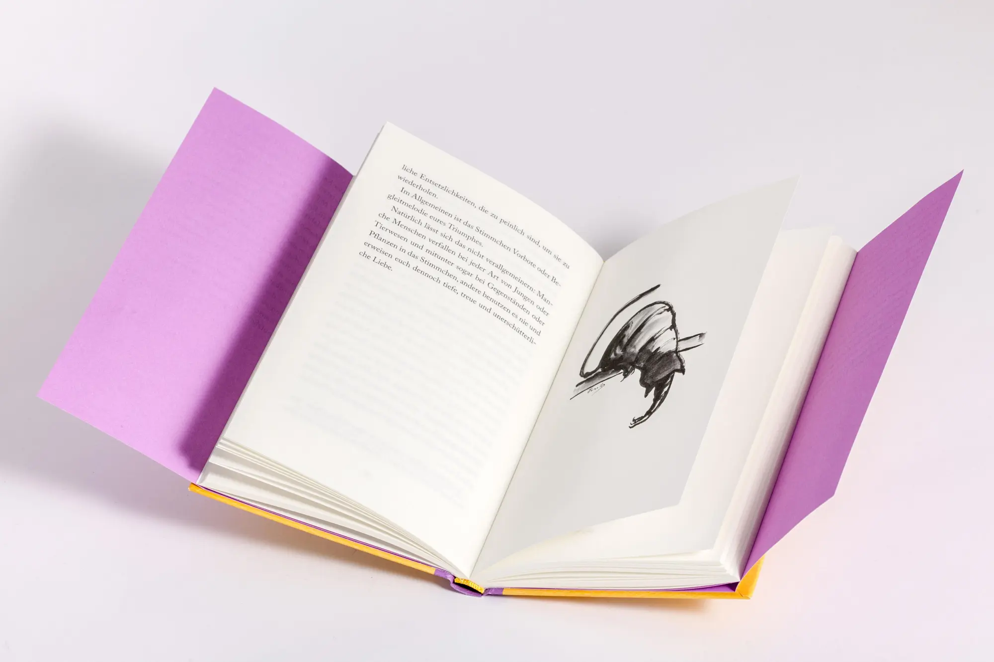 Bild: 9783442317387 | So erziehst du deinen Menschen | Empfehlungen einer Hauskatze | Buch