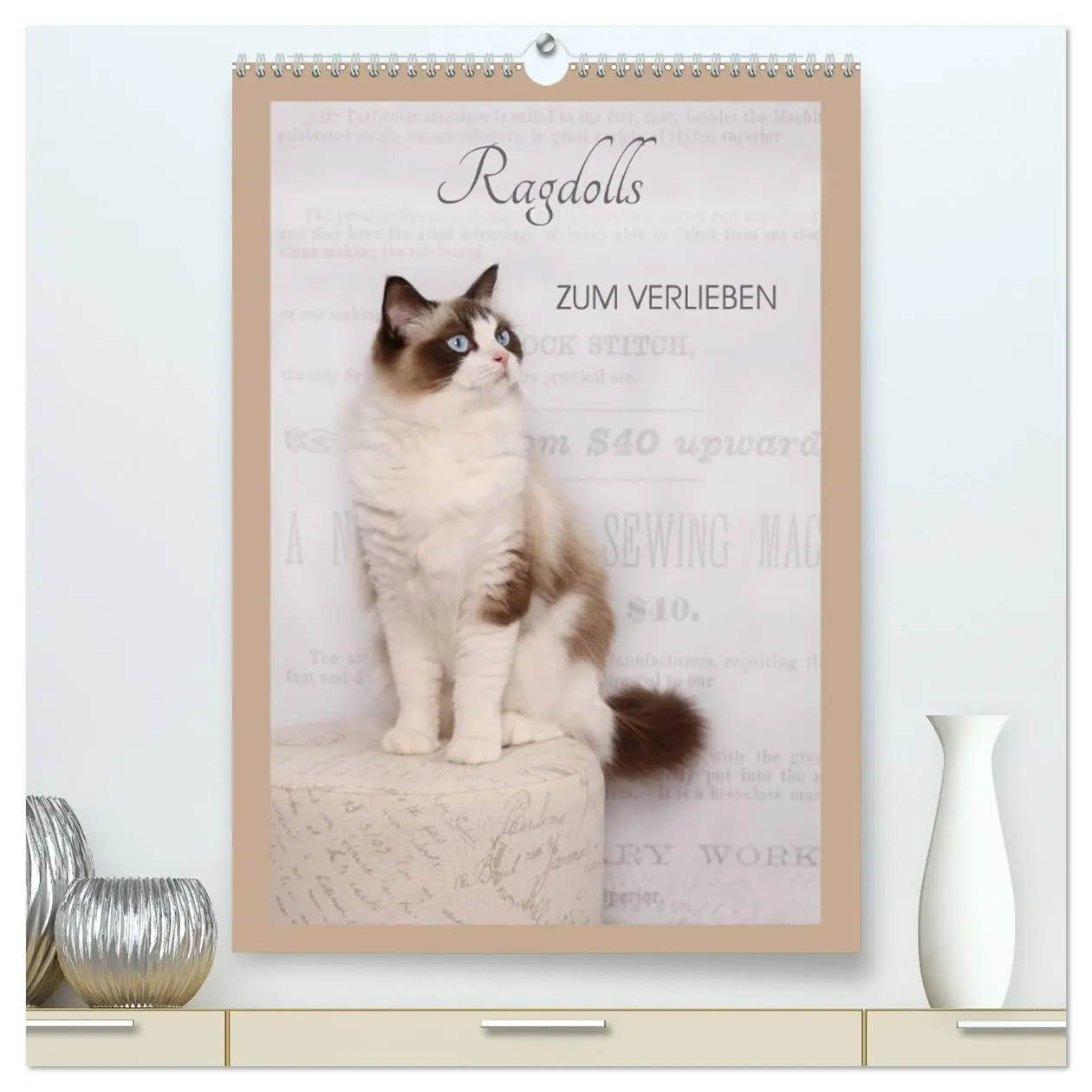 Cover: 9783516427387 | Ragdolls zum Verlieben (hochwertiger Premium Wandkalender 2026 DIN...