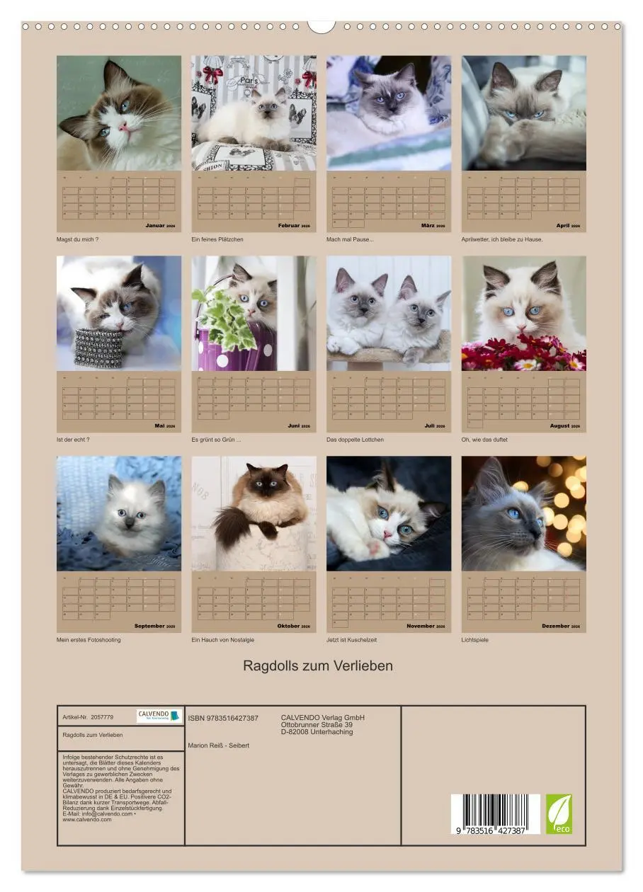 Bild: 9783516427387 | Ragdolls zum Verlieben (hochwertiger Premium Wandkalender 2026 DIN...