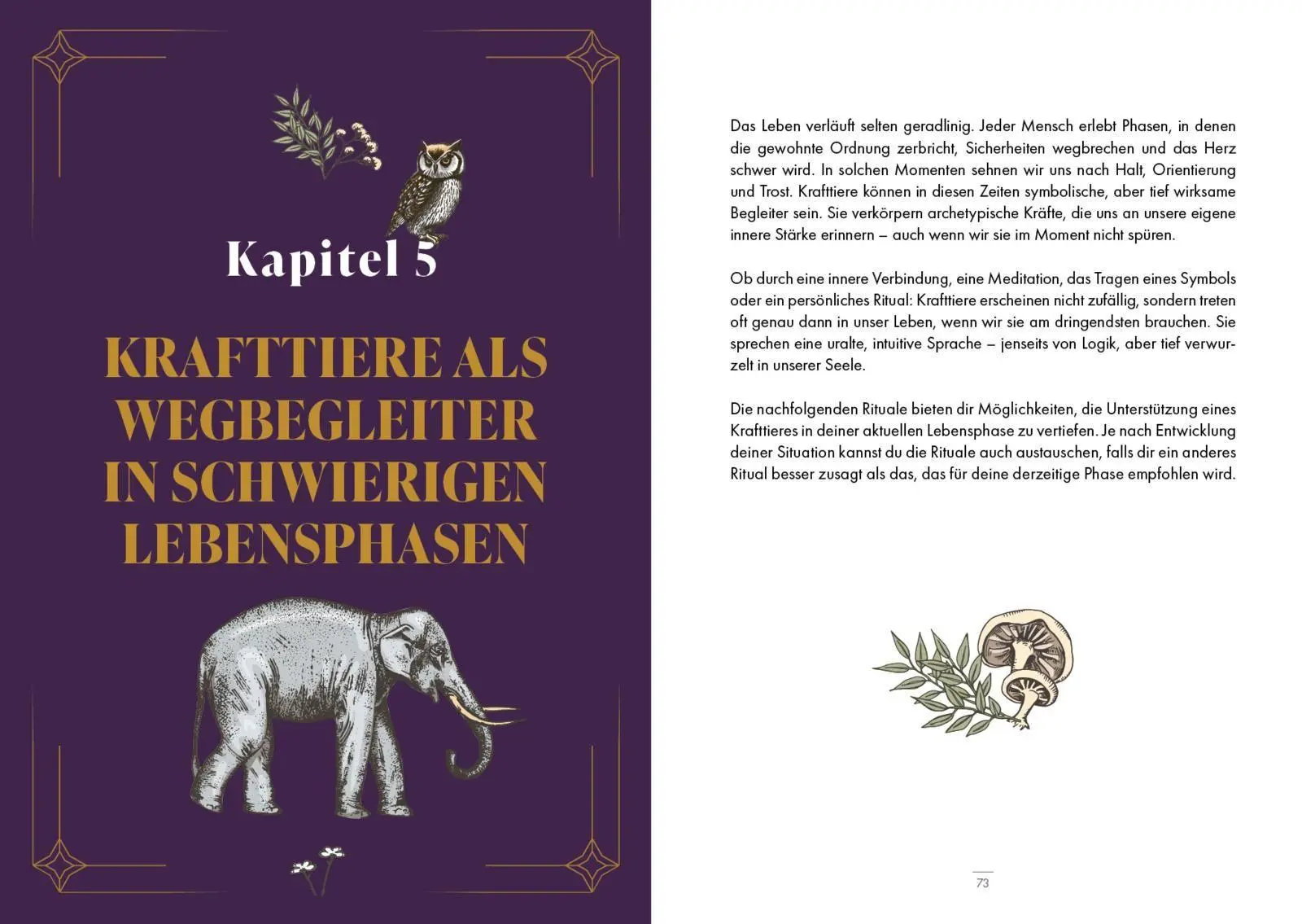 Bild: 9783747407387 | Krafttiere - Gefährten der Seele | Dein spiritueller Begleiter | Deiß