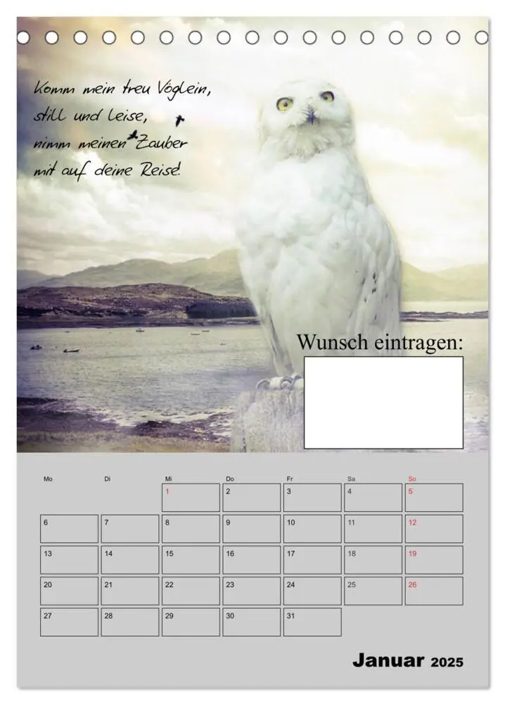 Bild: 9783457017487 | Wunsch- und Zauberkalender (Tischkalender 2025 DIN A5 hoch),...
