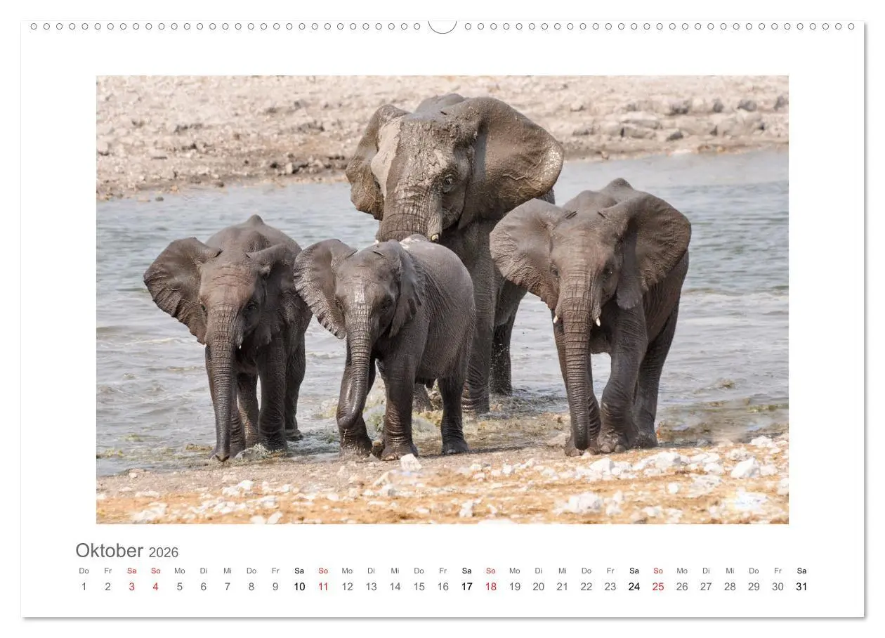 Bild: 9783457637487 | Namibia - unterwegs mit Julia Hahn (Wandkalender 2026 DIN A2 quer),...
