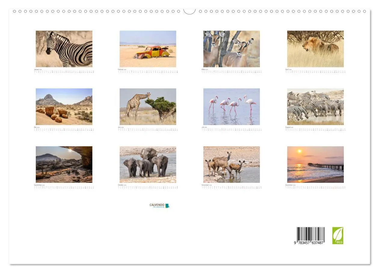 Bild: 9783457637487 | Namibia - unterwegs mit Julia Hahn (Wandkalender 2026 DIN A2 quer),...