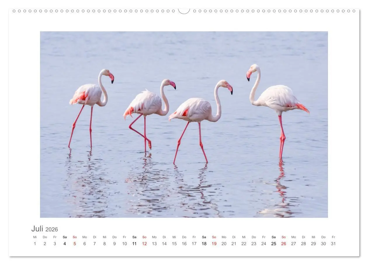 Bild: 9783457637487 | Namibia - unterwegs mit Julia Hahn (Wandkalender 2026 DIN A2 quer),...