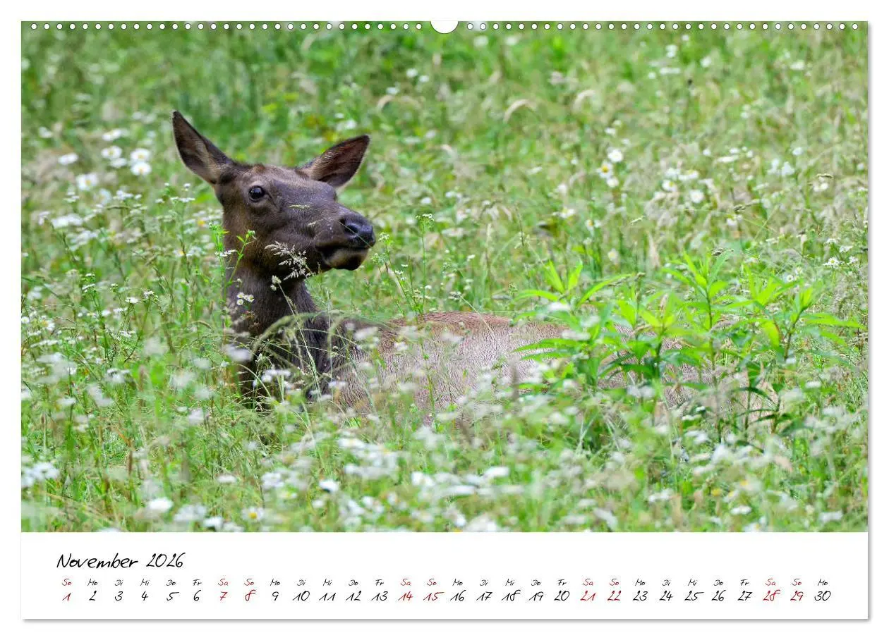 Bild: 9783457707487 | USA Ostküste Ein Road Trip (hochwertiger Premium Wandkalender 2026...