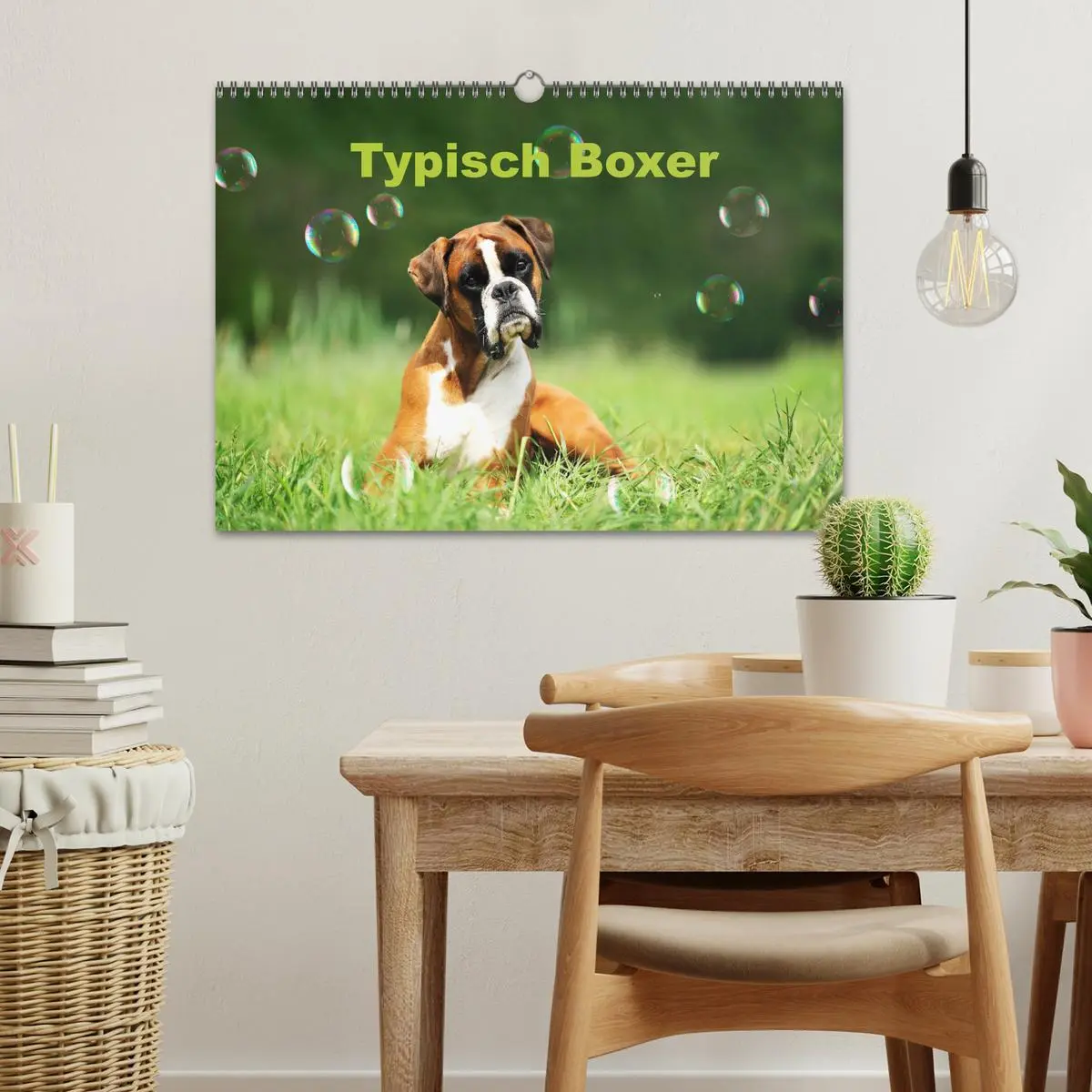 Bild: 9783457937587 | Typisch Boxer (Wandkalender 2026 DIN A3 quer), CALVENDO Monatskalender