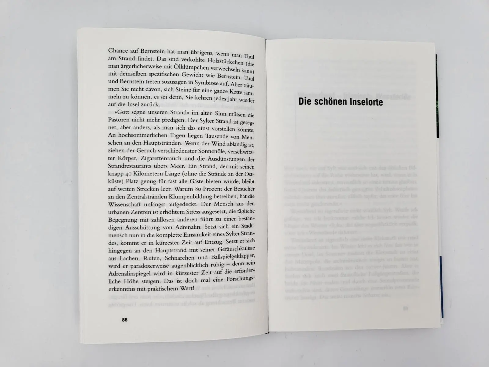 Bild: 9783492277587 | Gebrauchsanweisung für Sylt | Silke von Bremen | Taschenbuch | 224 S.