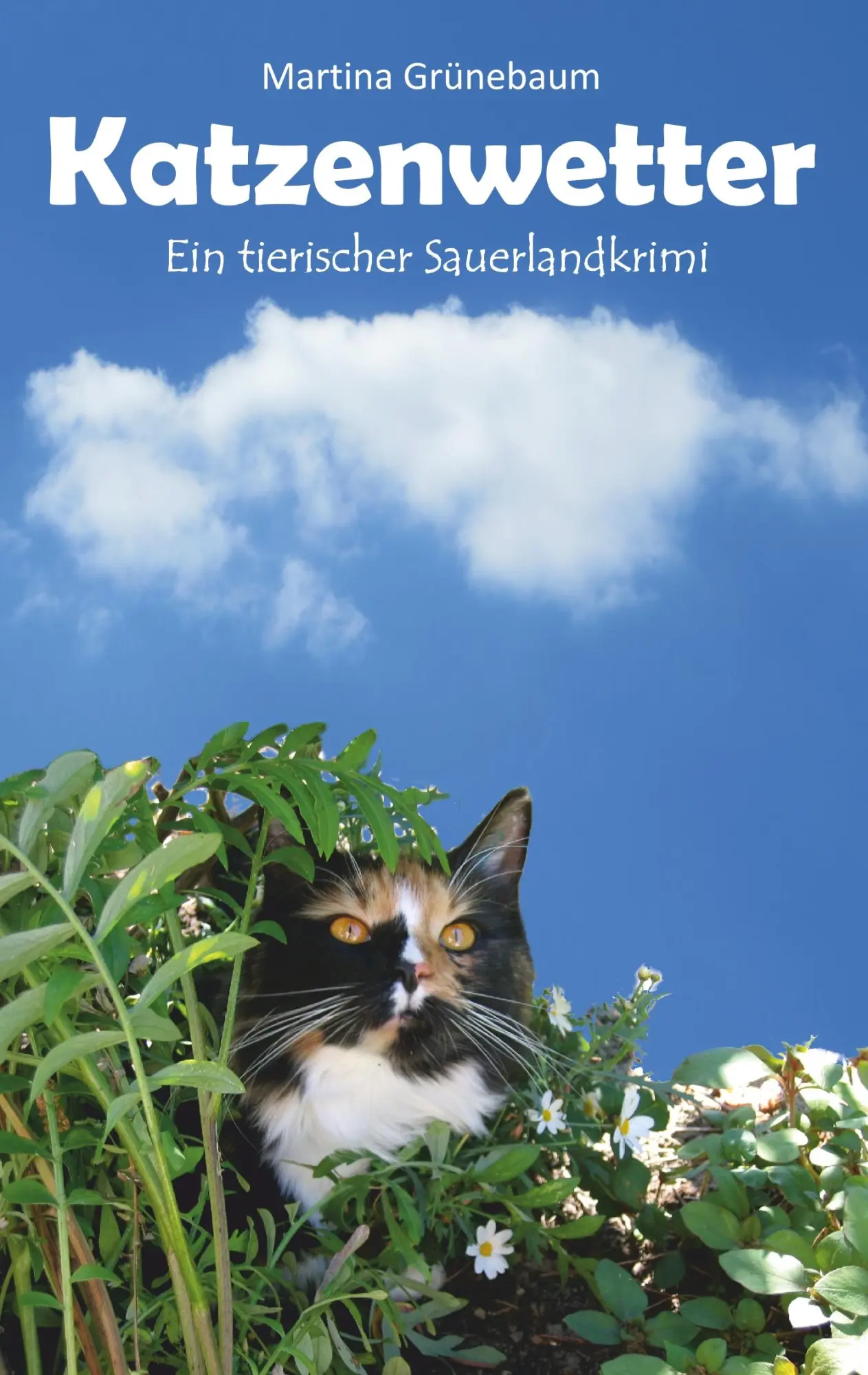 Cover: 9783743117587 | Katzenwetter | Der tierische Sauerlandkrimi | Martina Grünebaum | Buch