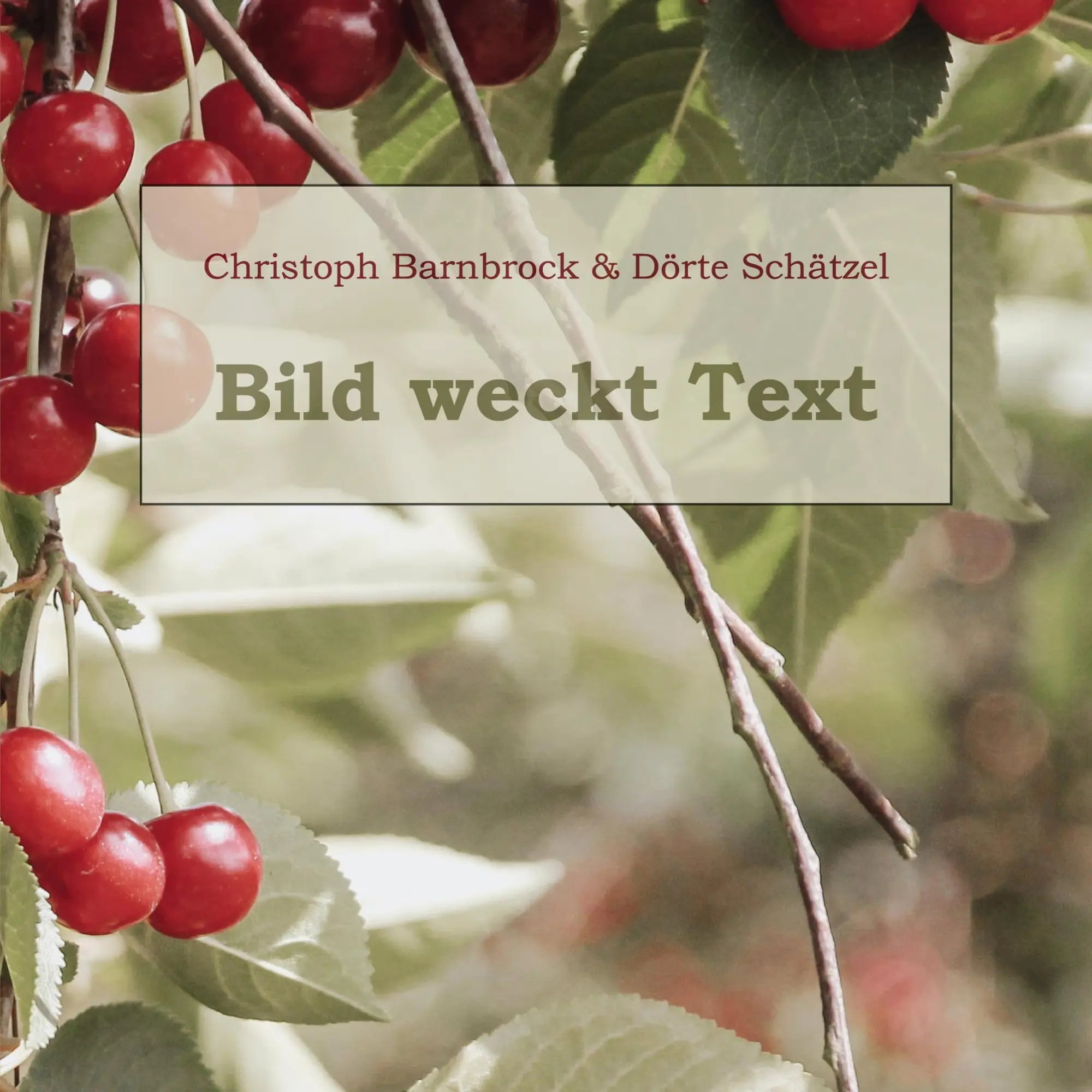 Cover: 9783756227587 | Bild weckt Text | Christoph Barnbrock (u. a.) | Taschenbuch | 108 S.