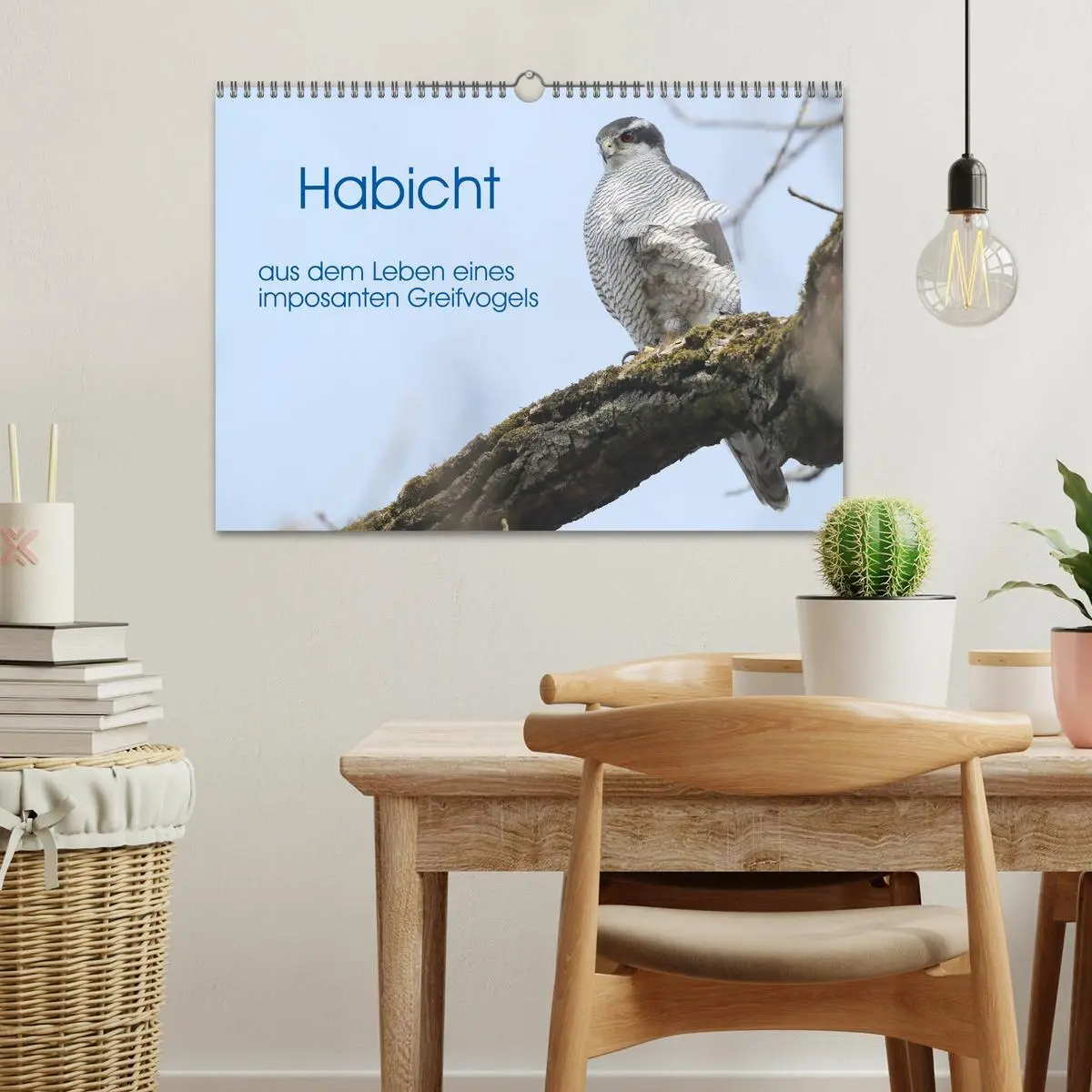 Bild: 9783457477687 | Habicht - aus dem Leben eines imposanten Greifvogels (Wandkalender...