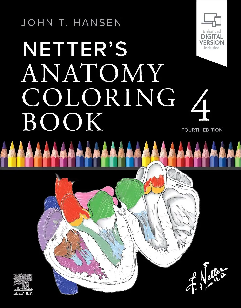 Cover: 9780443287787 | Netter's Anatomy Coloring Book | John T Hansen | Taschenbuch | 2026