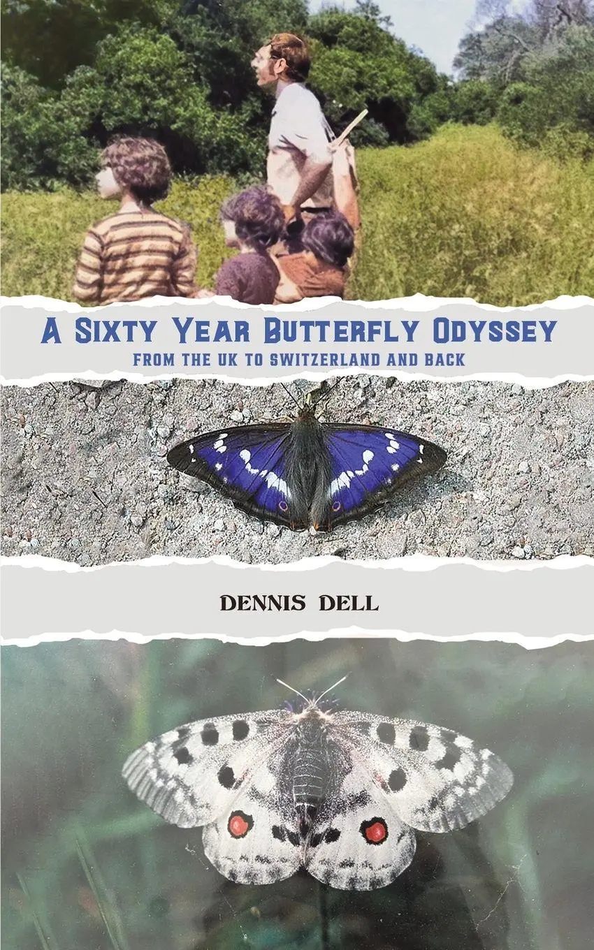 Cover: 9781037117787 | A Sixty Year Butterfly Odyssey | Dennis Dell | Taschenbuch | Englisch