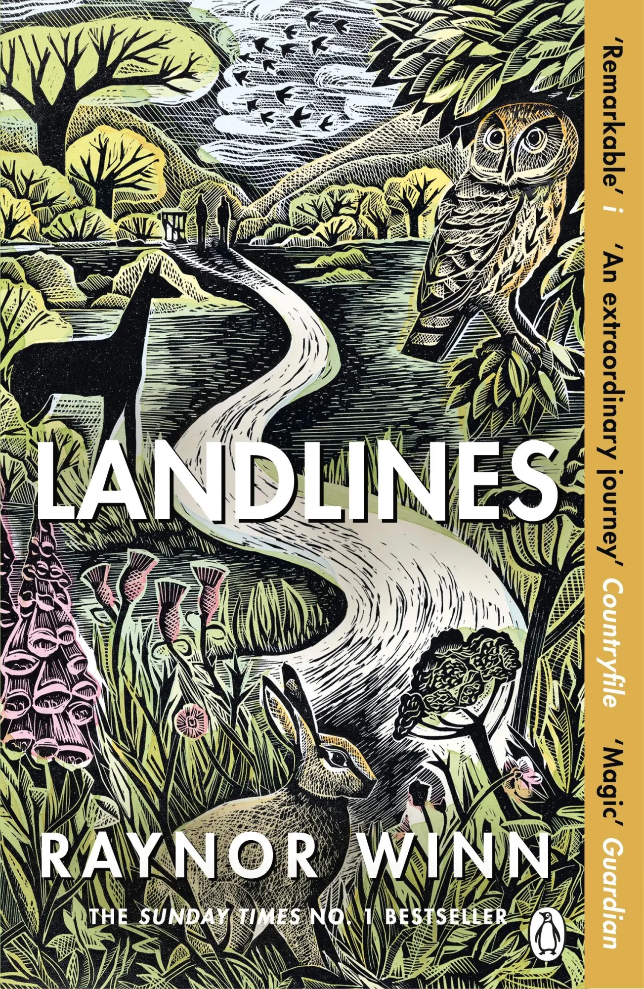Cover: 9781405947787 | Landlines | Raynor Winn | Taschenbuch | B-format paperback | 316 S.