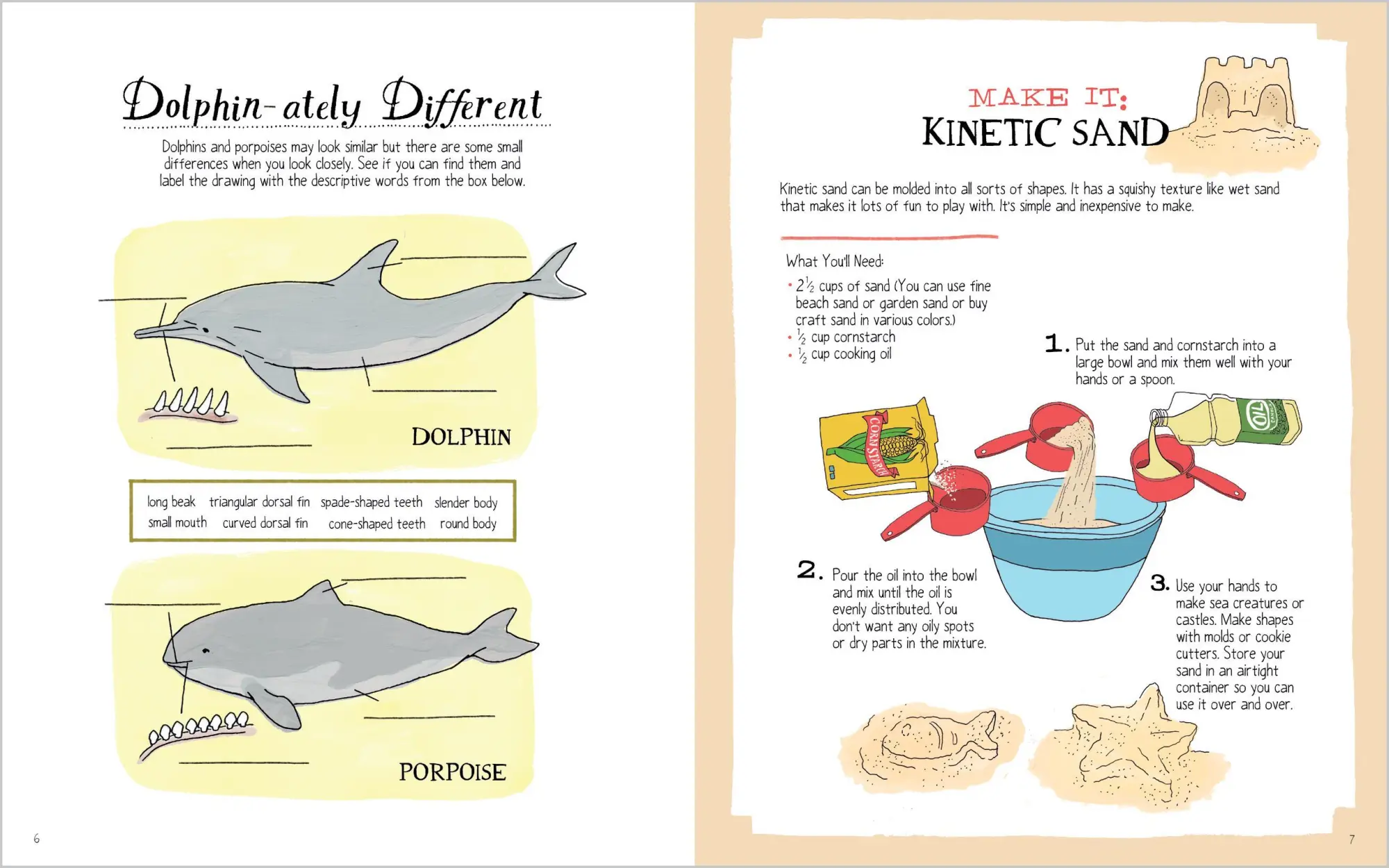 Bild: 9781635867787 | Julia Rothman's Ocean Anatomy Activity Book | Julia Rothman | Buch