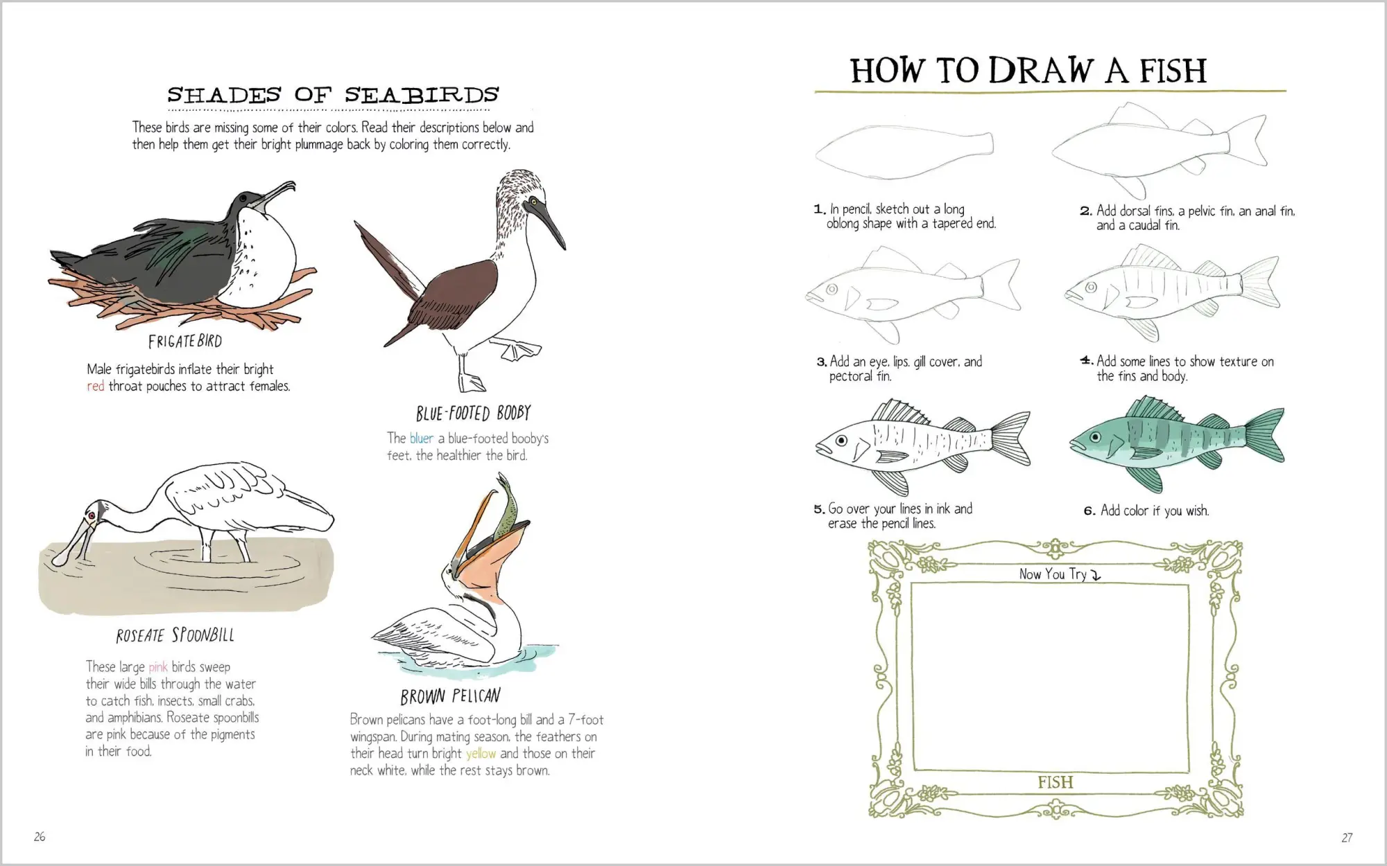 Bild: 9781635867787 | Julia Rothman's Ocean Anatomy Activity Book | Julia Rothman | Buch