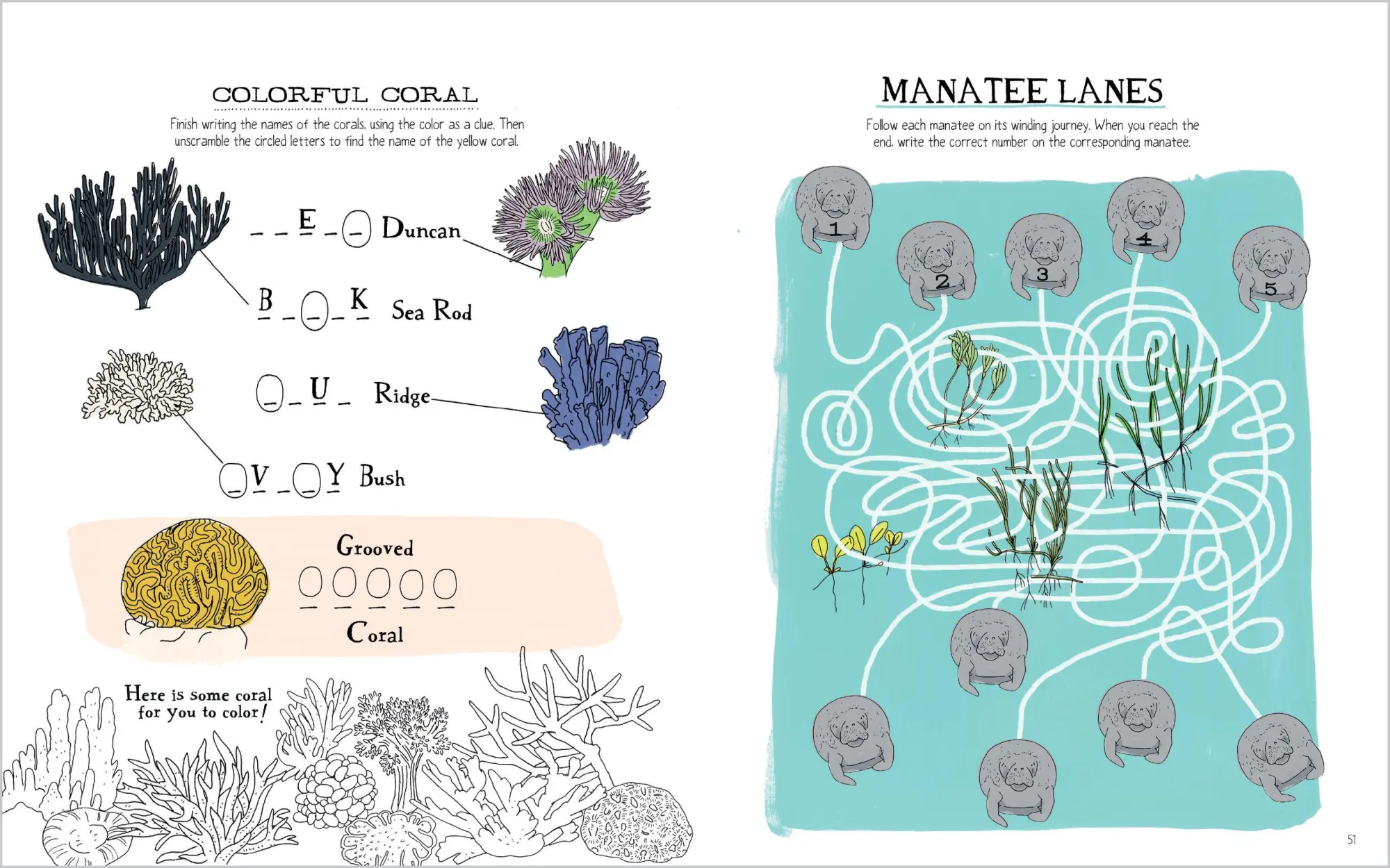Bild: 9781635867787 | Julia Rothman's Ocean Anatomy Activity Book | Julia Rothman | Buch