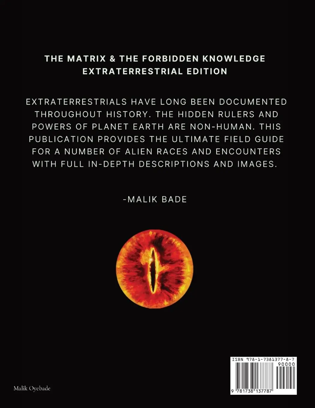 Rückseite: 9781738137787 | The Matrix &amp; The Forbidden Knowledge - Extraterrestrial Edition | Bade