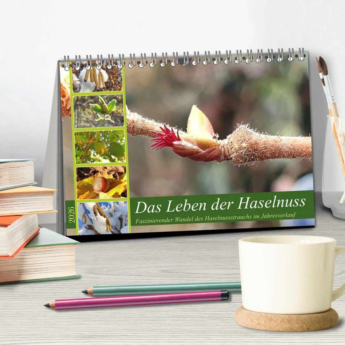 Bild: 9783457537787 | Das Leben der Haselnuss (Tischkalender 2026 DIN A5 quer), CALVENDO...