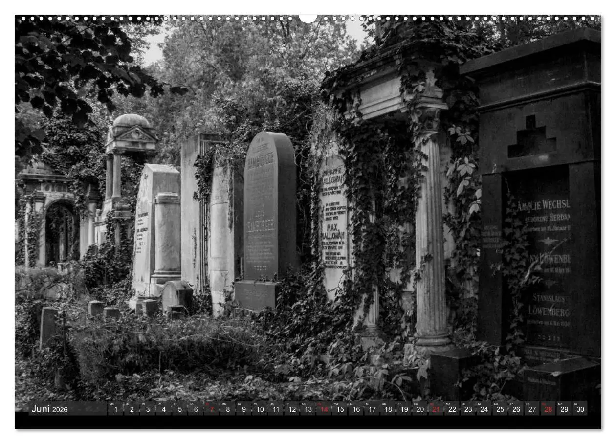 Bild: 9783516007787 | Morbide Zeitzeugen - Orte der Vergänglichkeit (hochwertiger Premium...