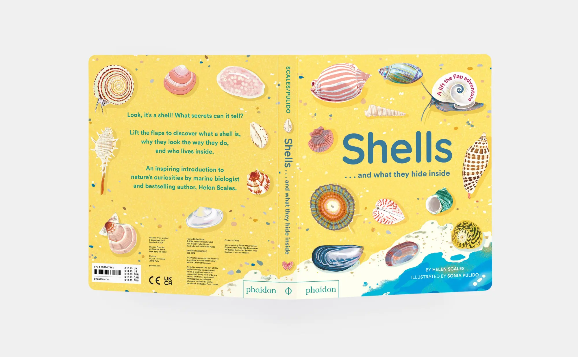 Bild: 9781838667887 | Shells... and What They Hide Inside | A Lift-The-Flap Adventure | Buch
