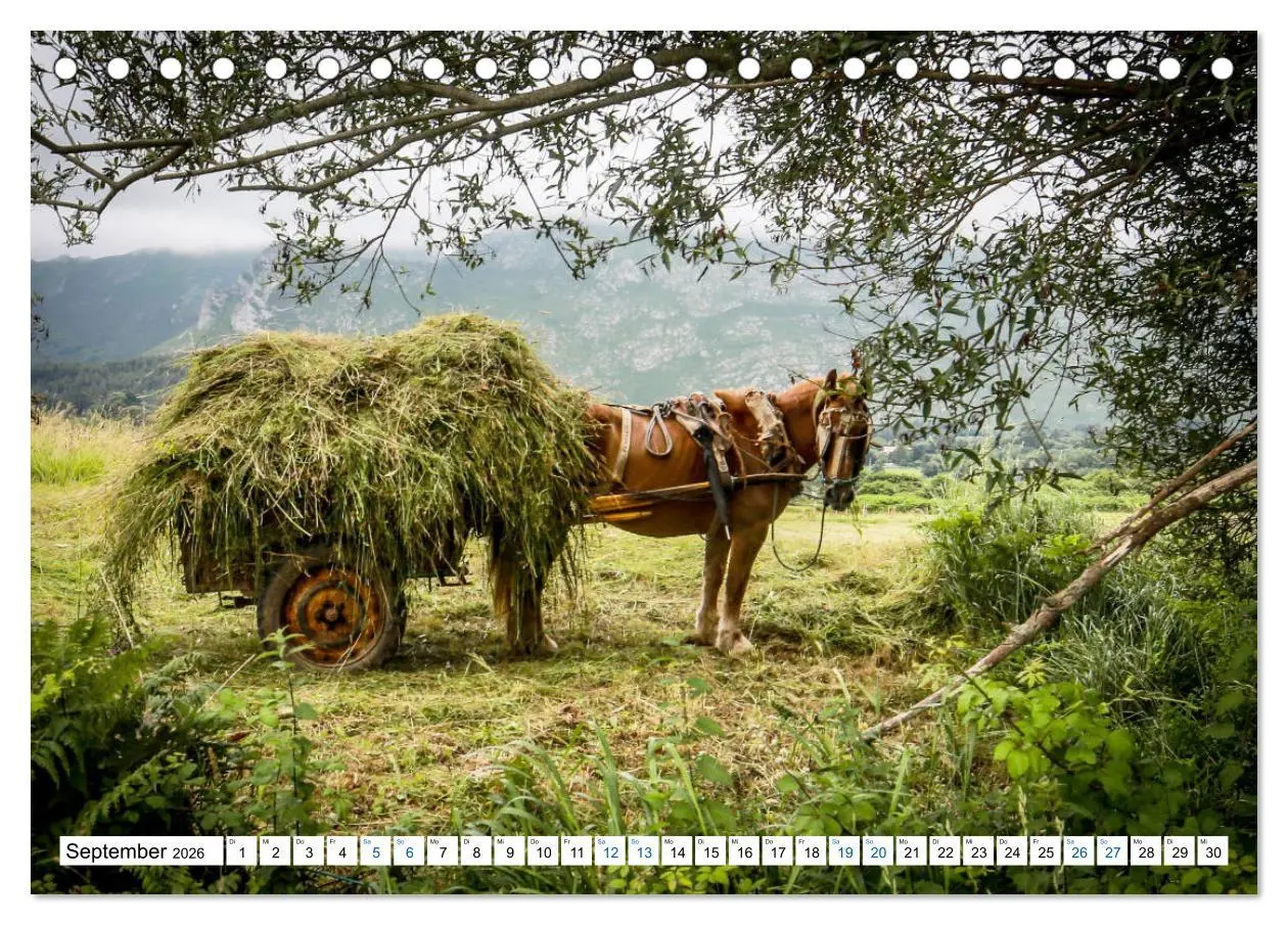 Bild: 9783457697887 | Der nördliche Jakobsweg (Tischkalender 2026 DIN A5 quer), CALVENDO...