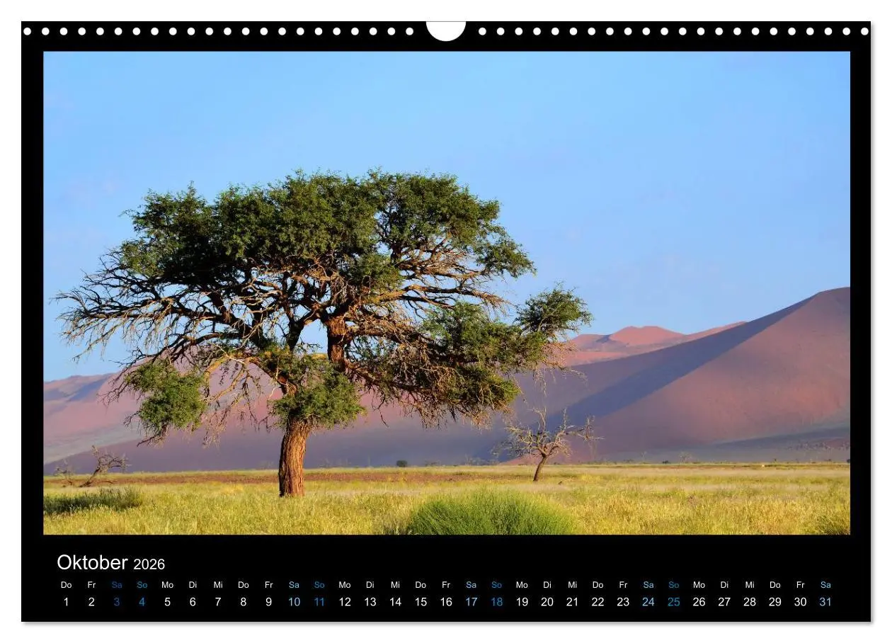 Bild: 9783516167887 | Namibia 2026 Farben der Wüste (Wandkalender 2026 DIN A3 quer),...