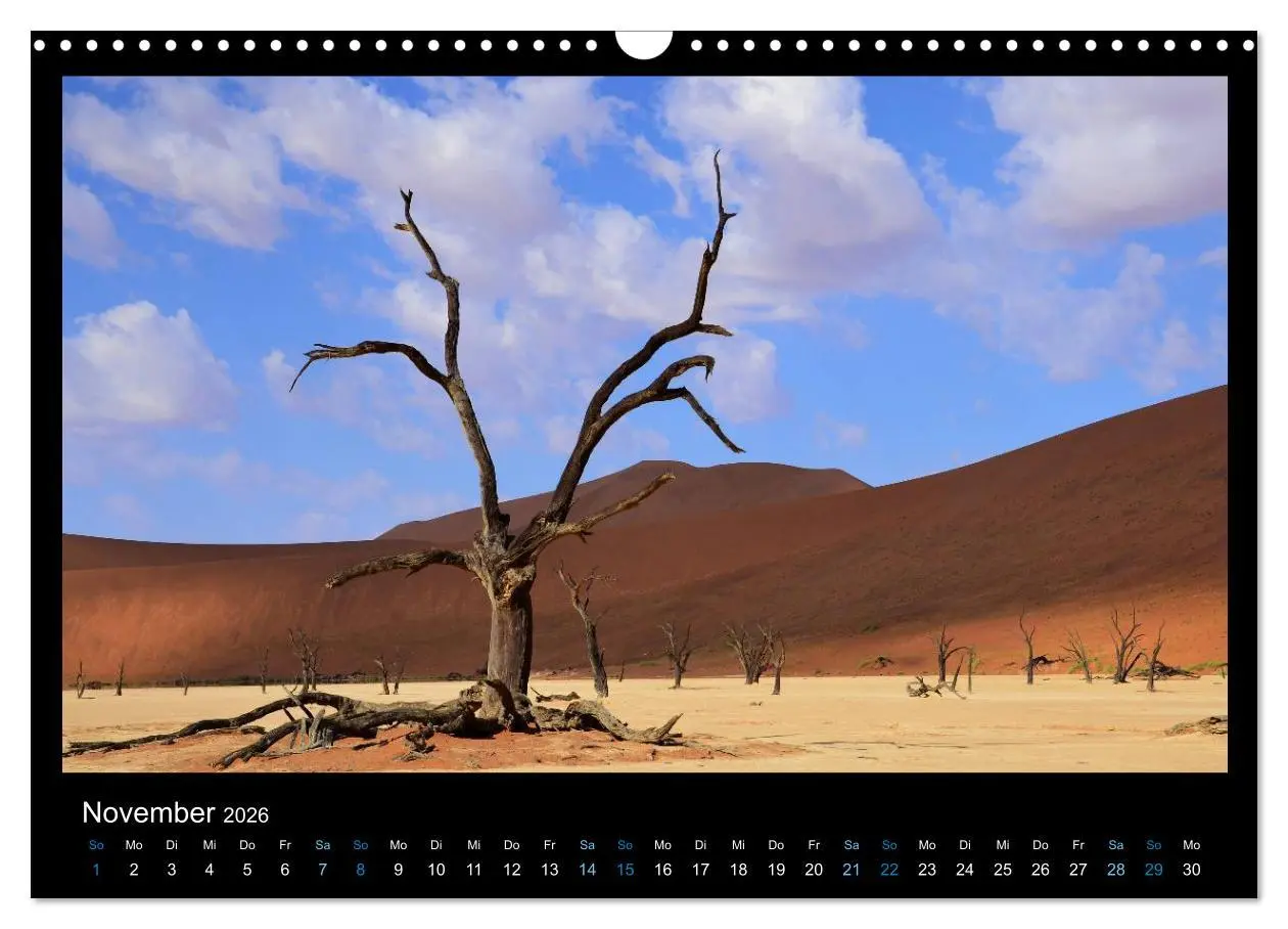 Bild: 9783516167887 | Namibia 2026 Farben der Wüste (Wandkalender 2026 DIN A3 quer),...