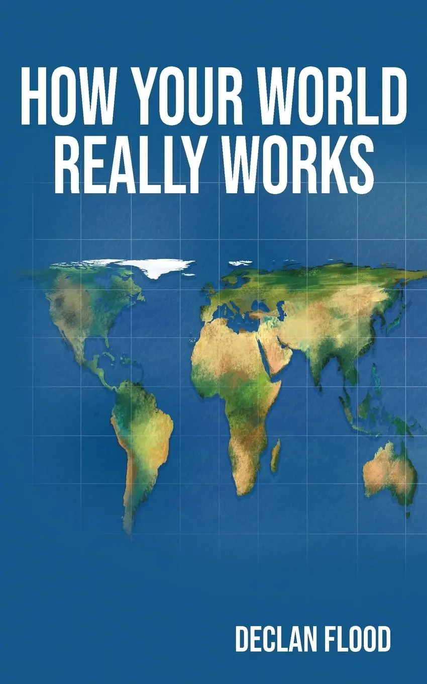 Cover: 9781917438087 | How Your World Really Works | Declan Flood | Taschenbuch | Englisch