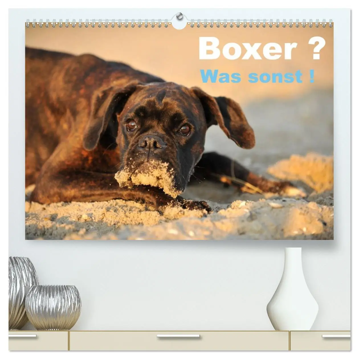 Cover: 9783516048087 | Boxer ? Was sonst ! (hochwertiger Premium Wandkalender 2026 DIN A2...