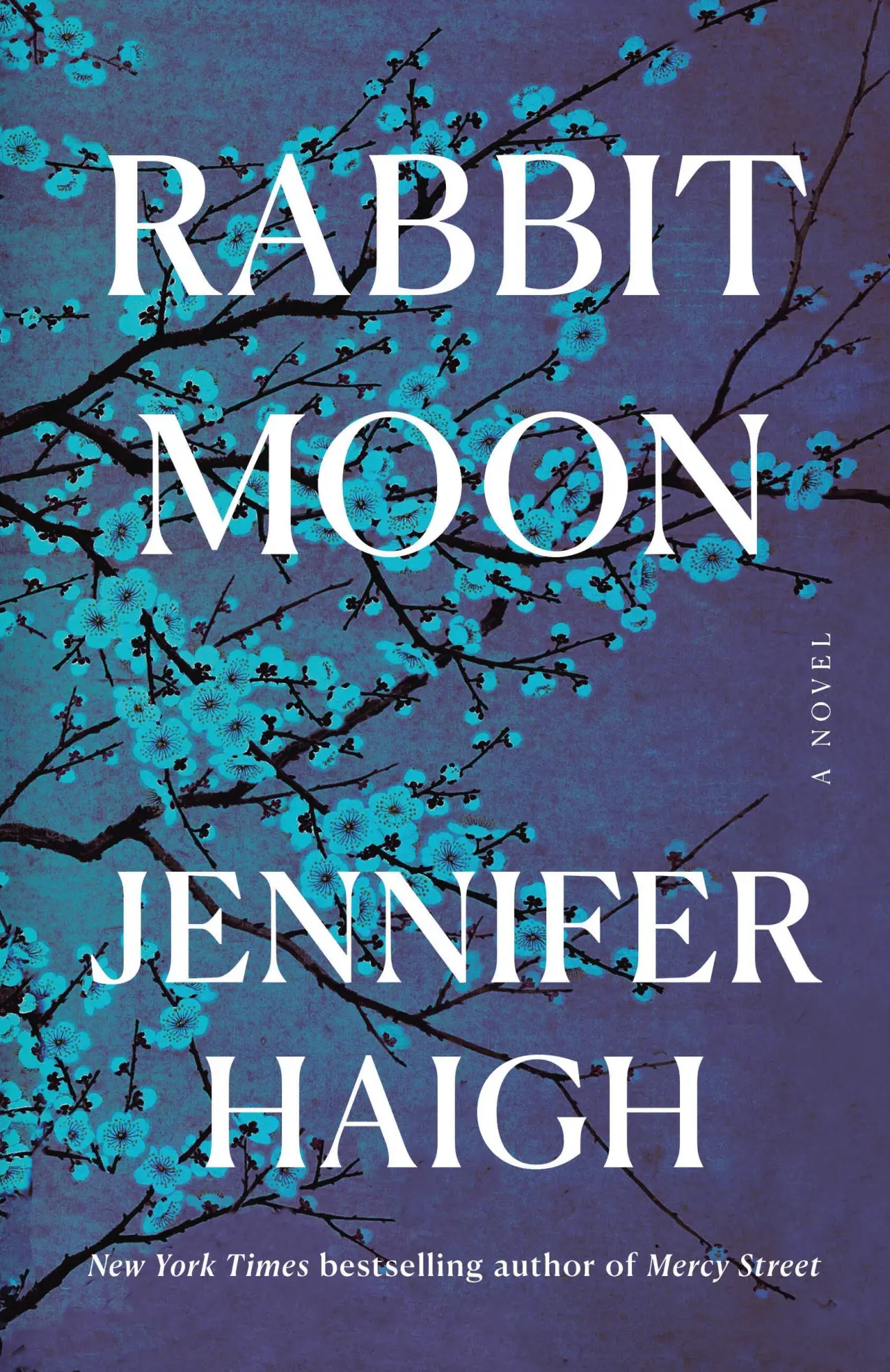 Cover: 9780316588287 | Rabbit Moon | A Novel | Jennifer Haigh | Taschenbuch | Paperback