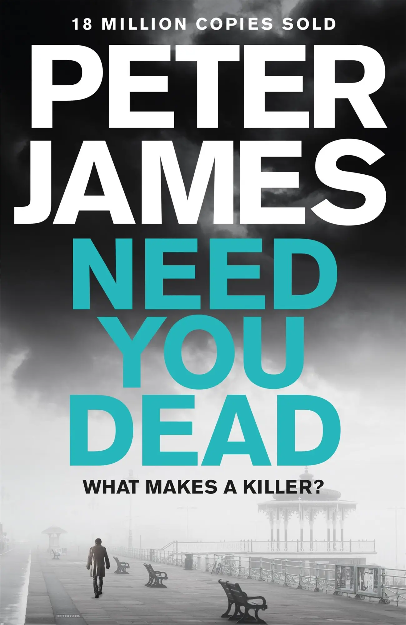 Cover: 9781509848287 | Need You Dead | Roy Grace 13 | Peter James | Taschenbuch | 500 S.