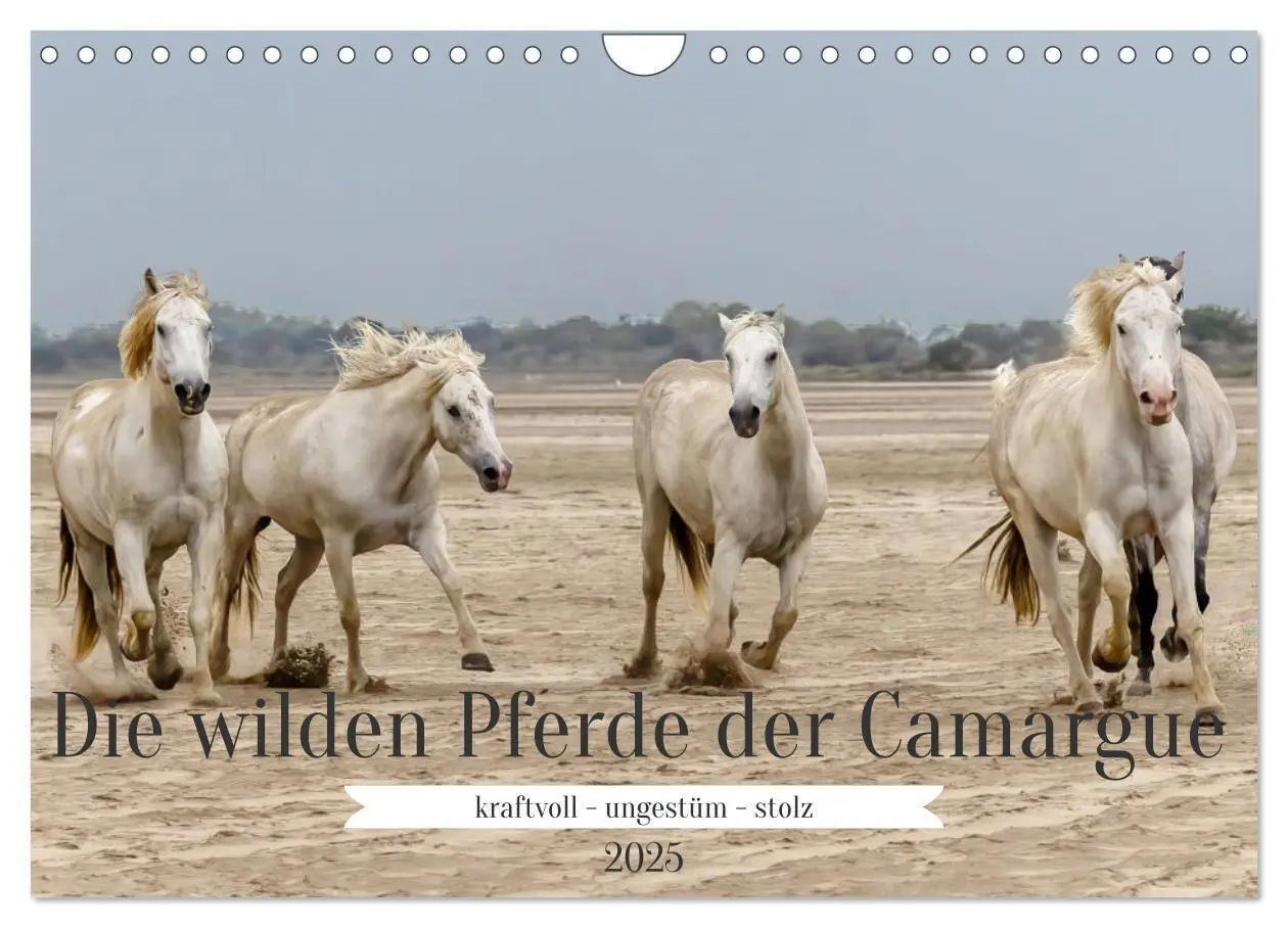 Cover: 9783383828287 | Die wilden Pferde der Camargue (Wandkalender 2025 DIN A4 quer),...